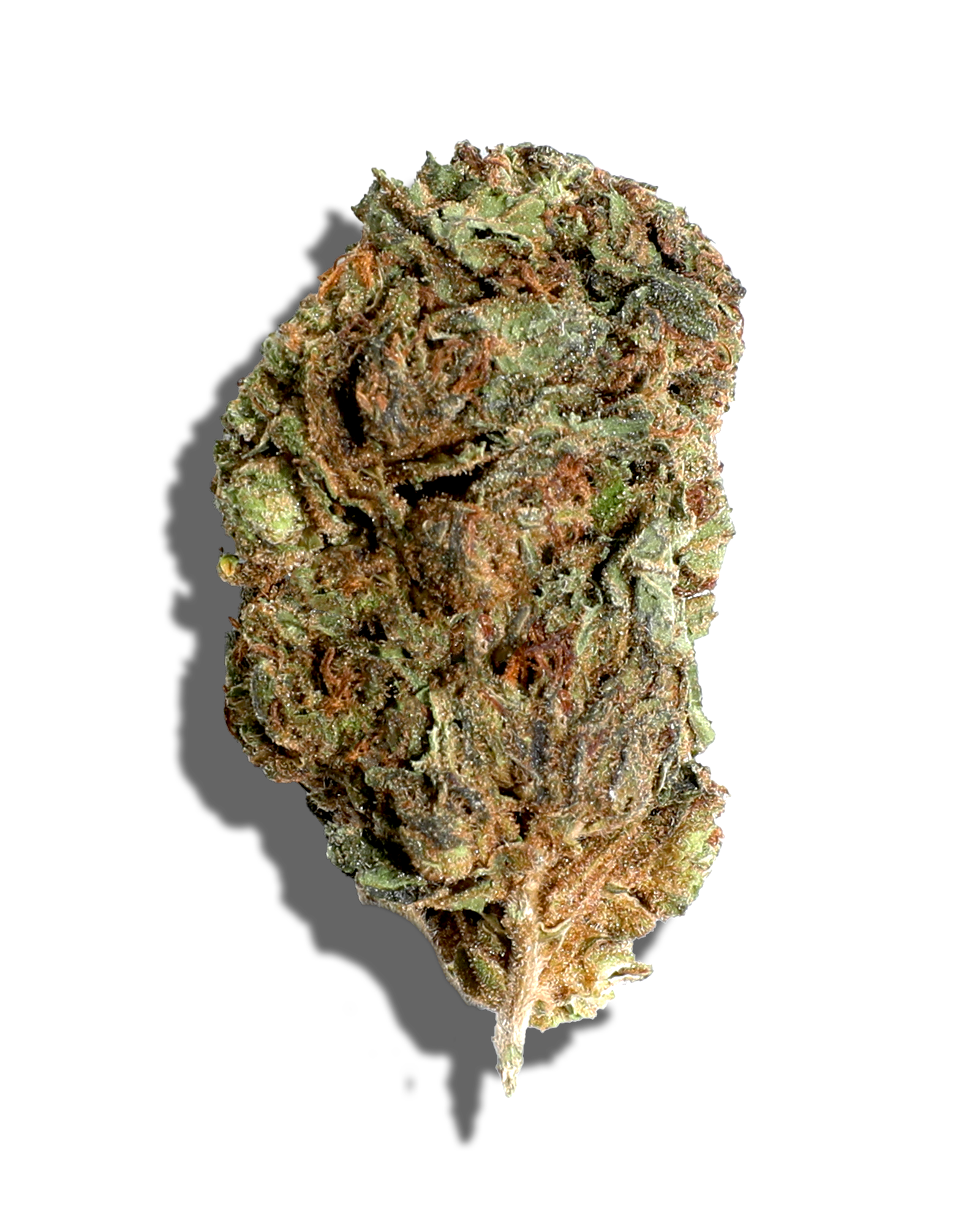 Sungrown OG Kush 1oz, 1 of 2