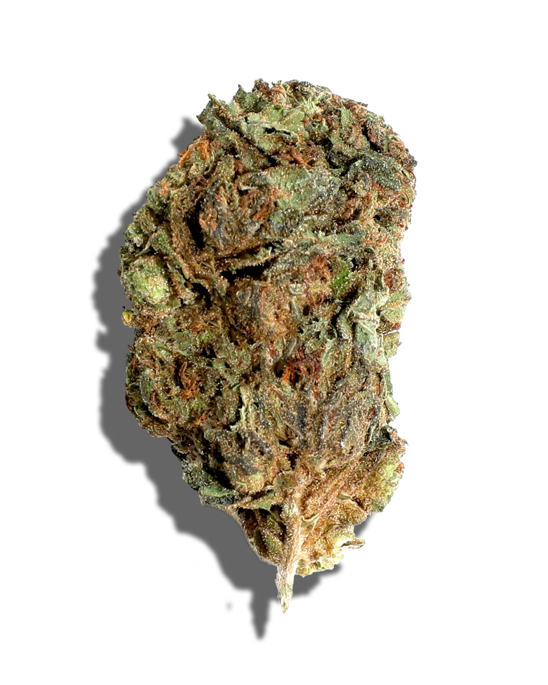 Sungrown OG Kush 1oz