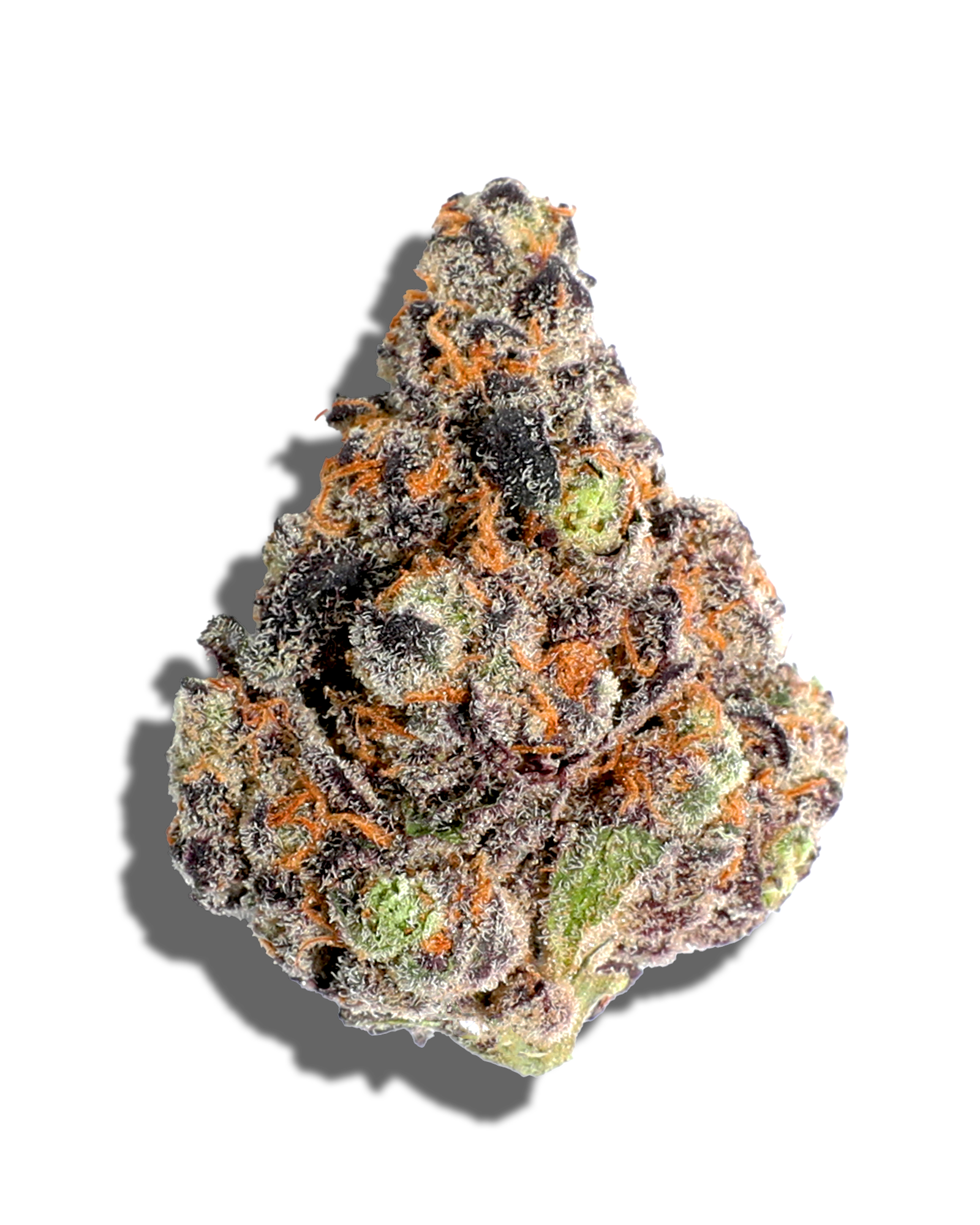 El Chivo 1oz, 1 of 3