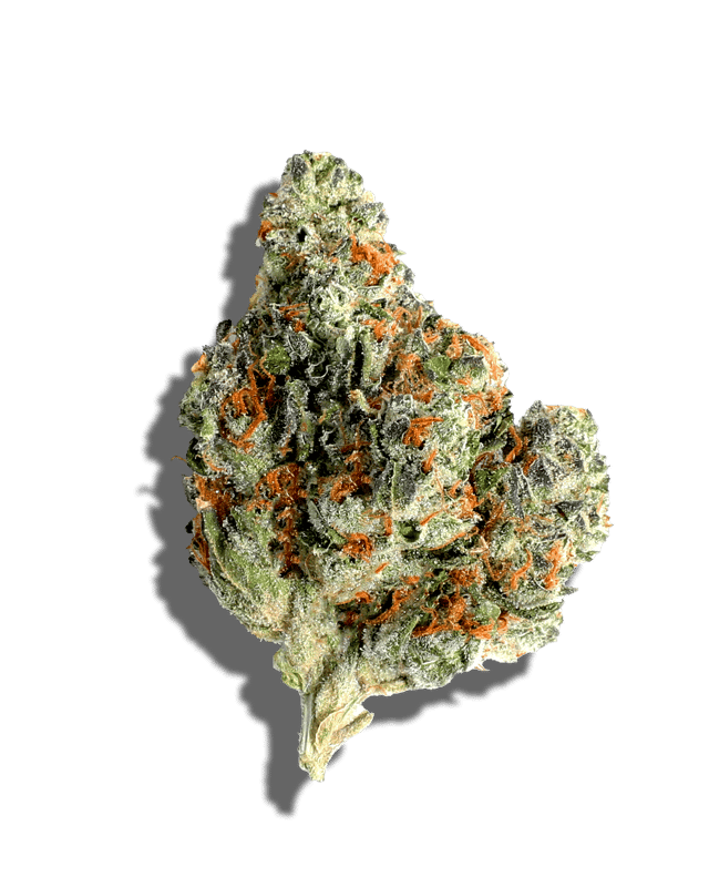 Jenny's Grape Jelly harvested flower, as labeled by the cited photo source