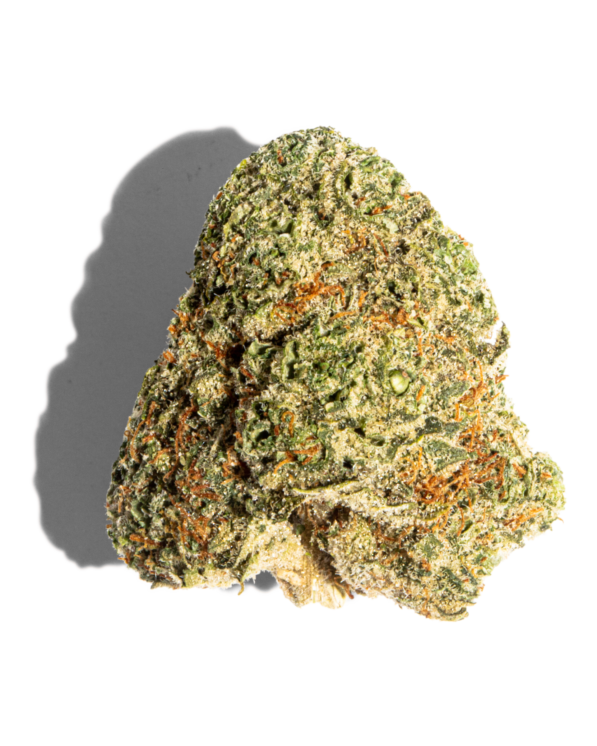 Peach Crescendo Flower