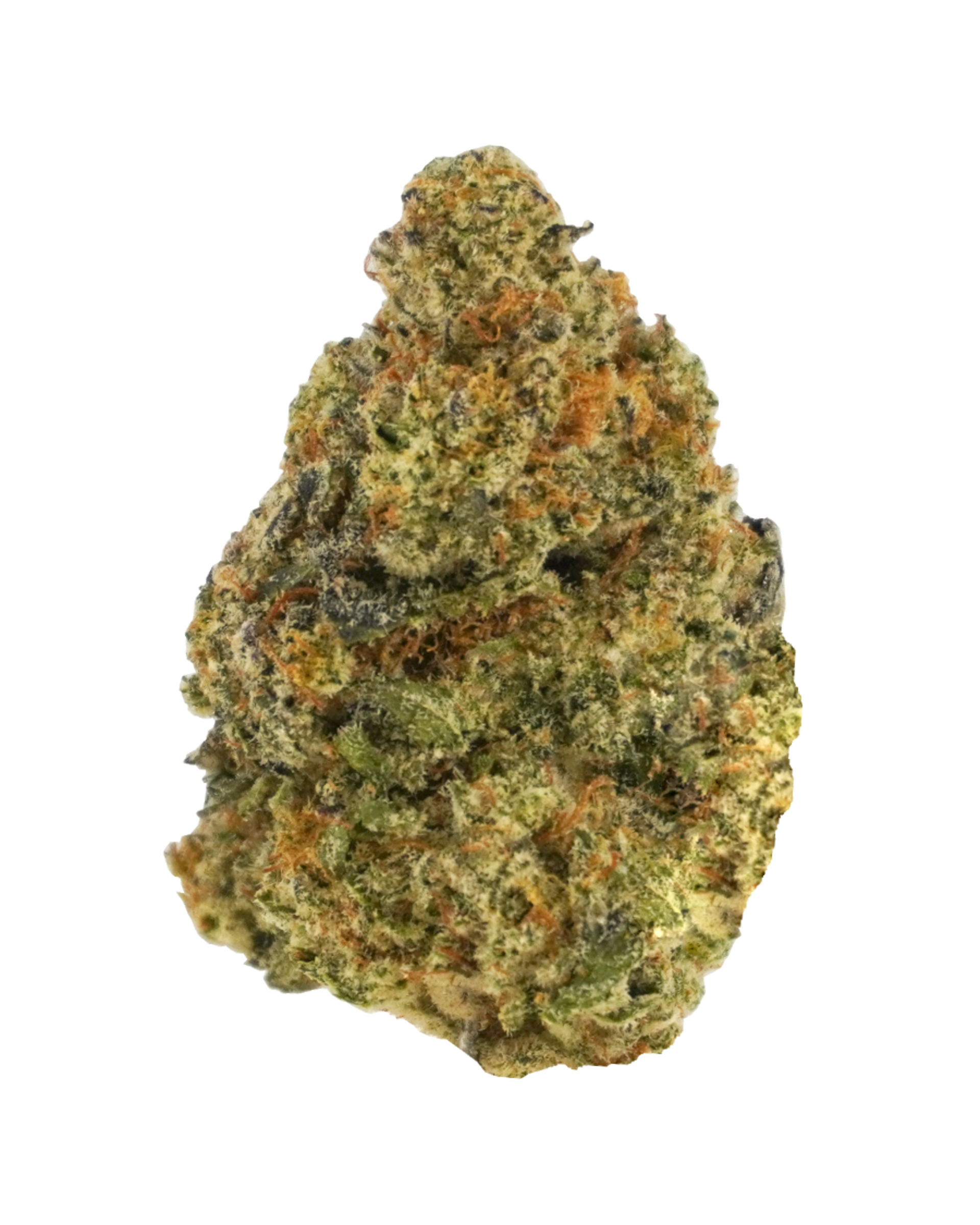 Donkey Butter Flower