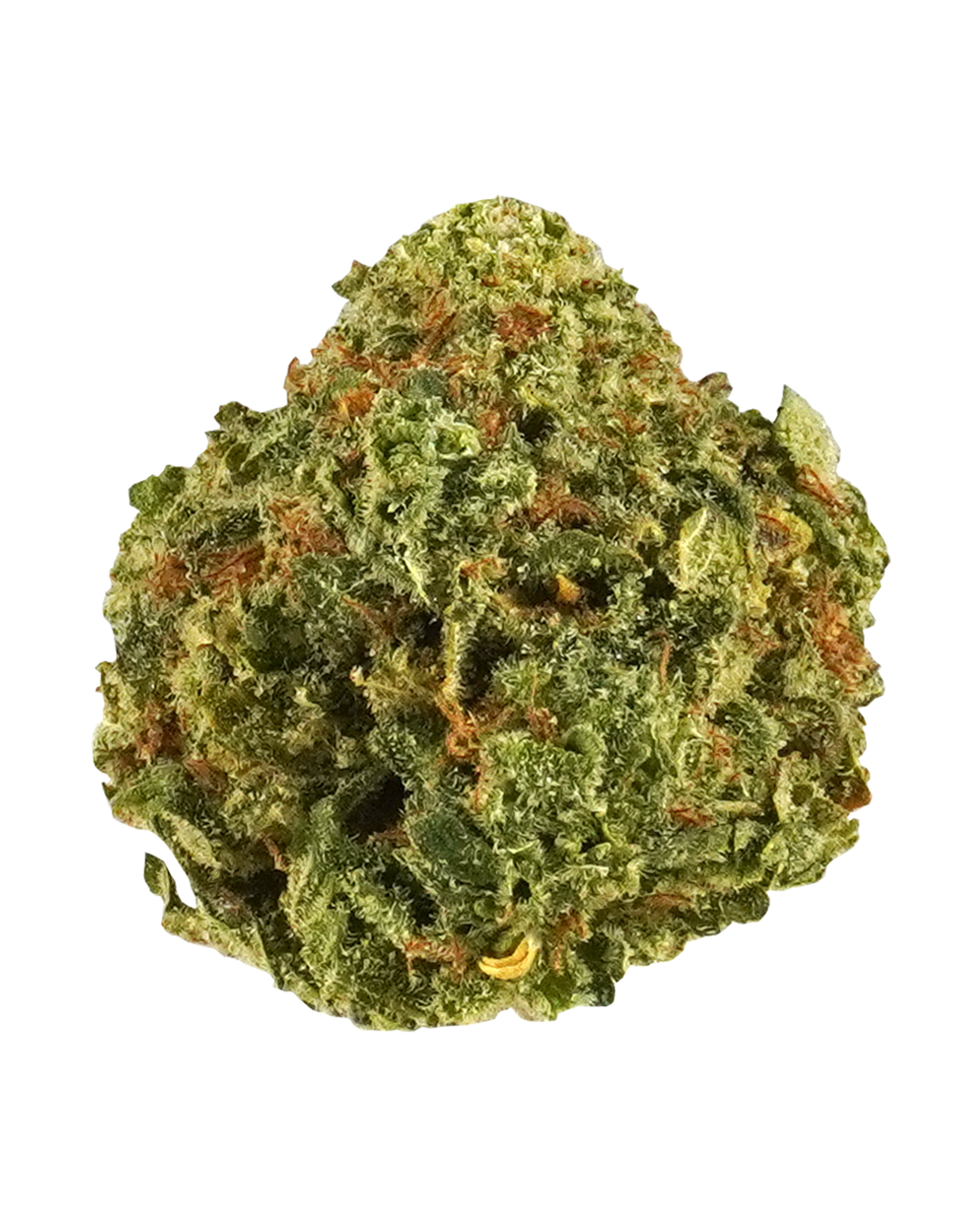 Sour Papaya Flower