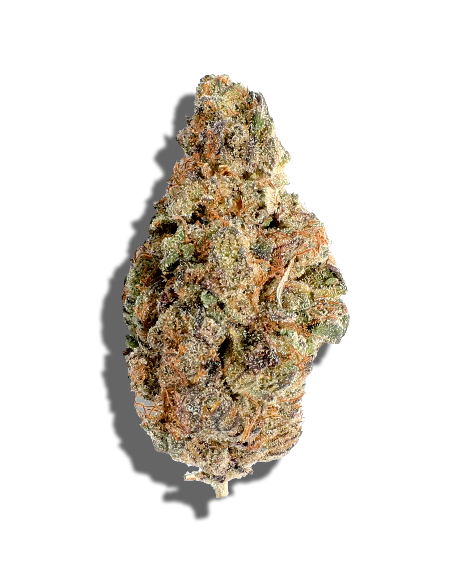 All Gas OG X Gelato 1oz