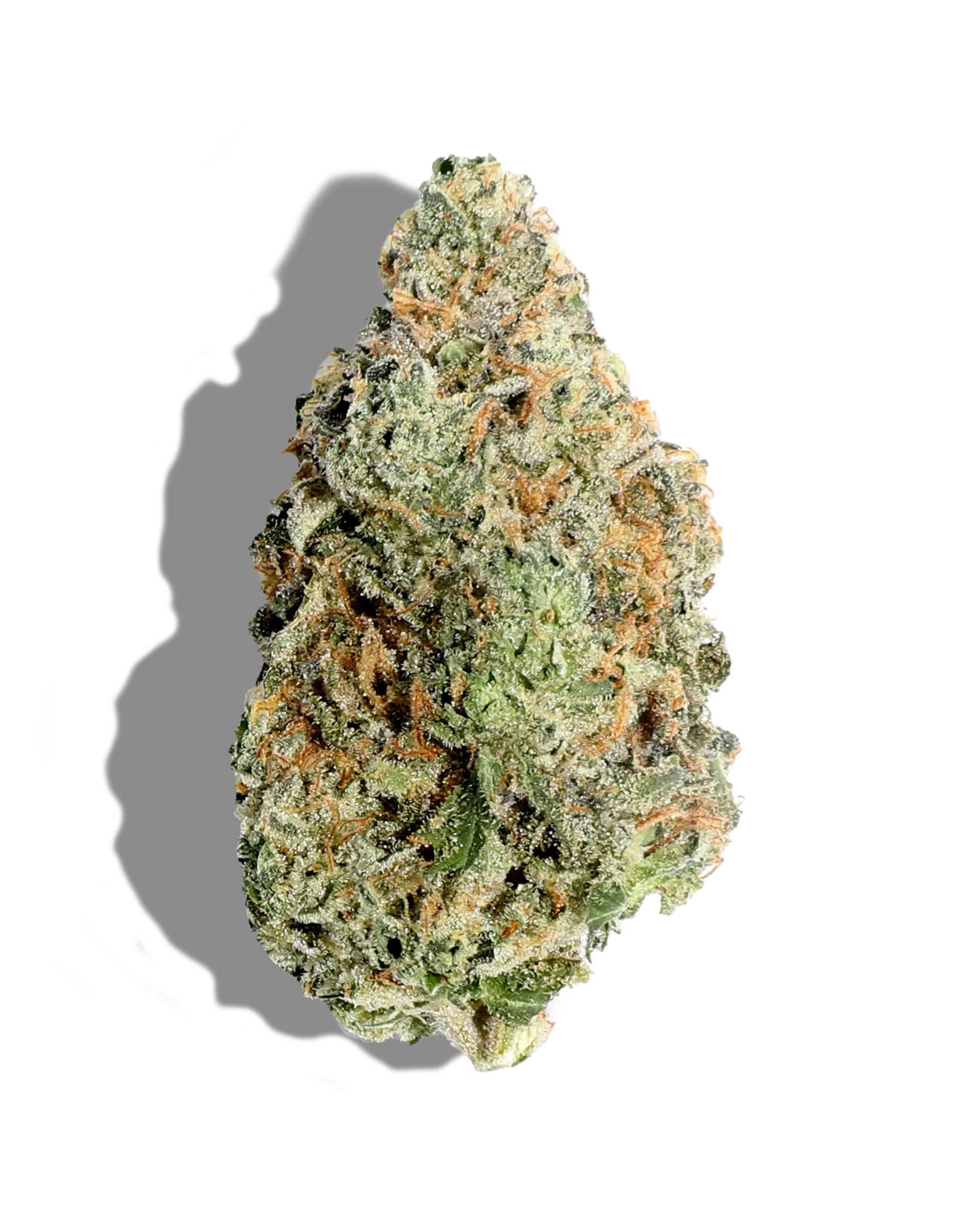 Msg Flower