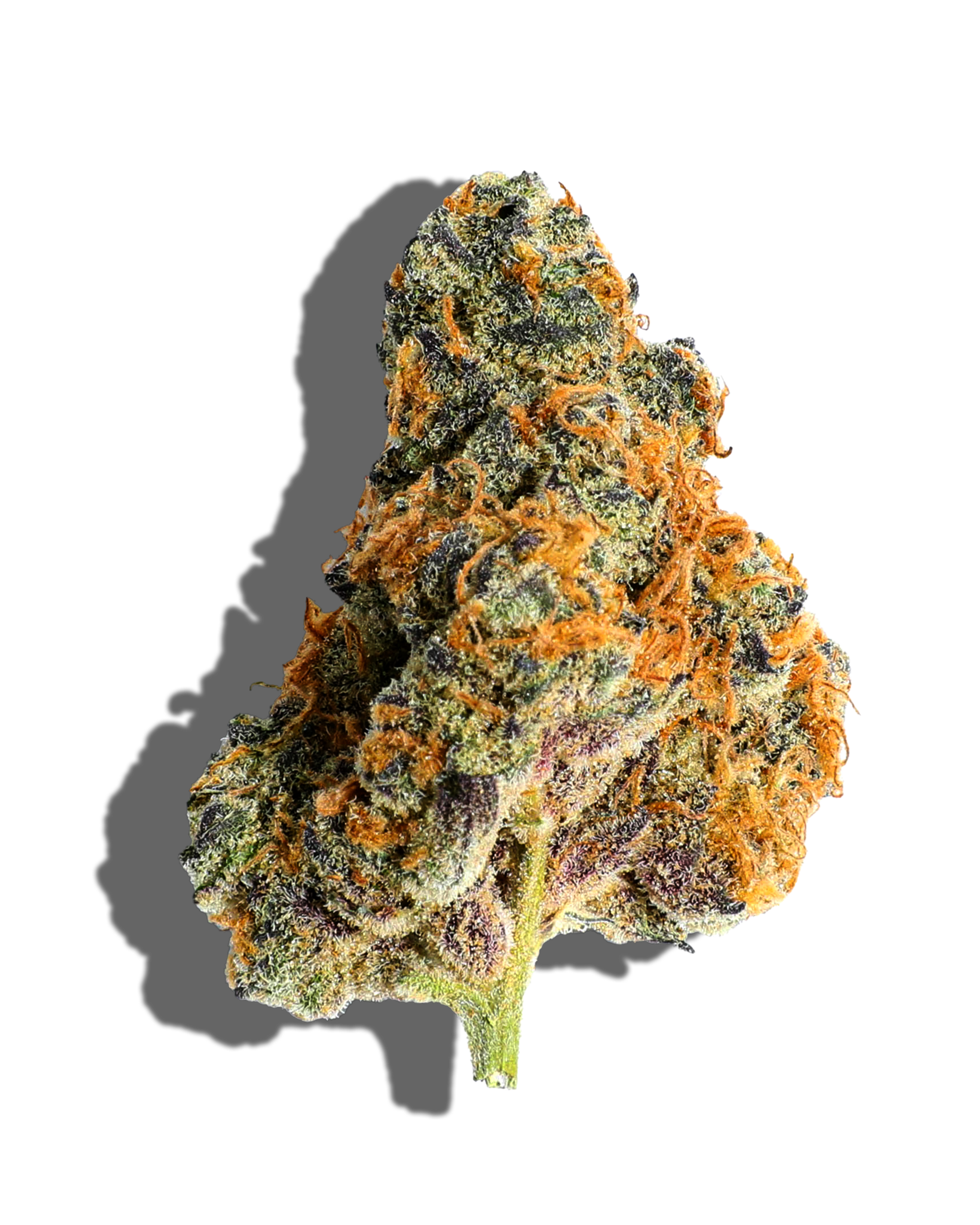Petro Crush Flower
