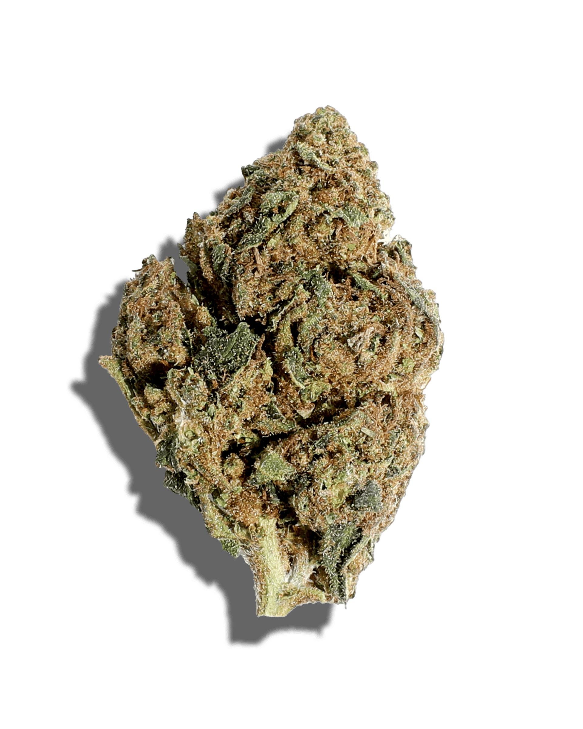 Sungrown Bermuda Triangle 1oz