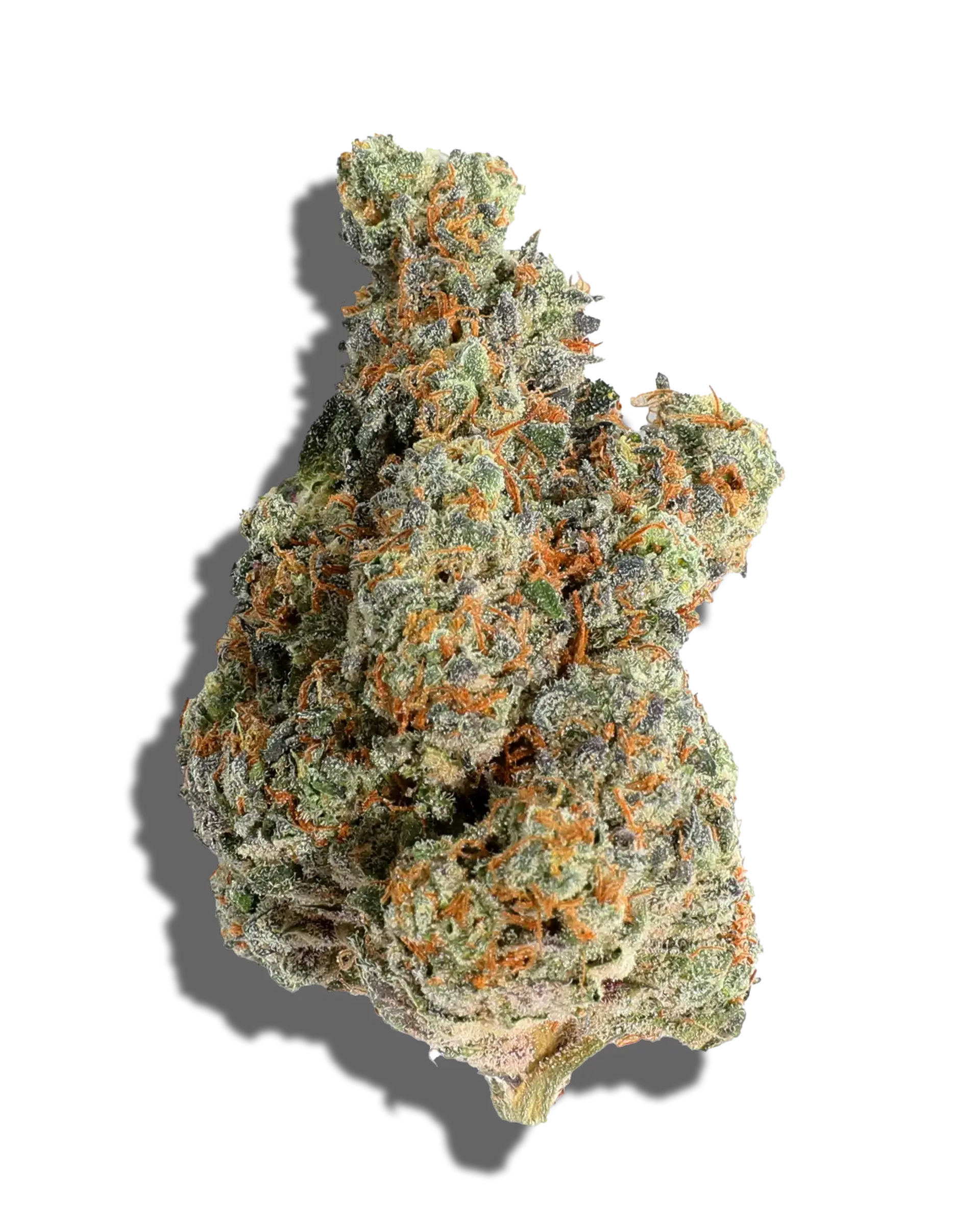 Mother Natures Cookies 1oz