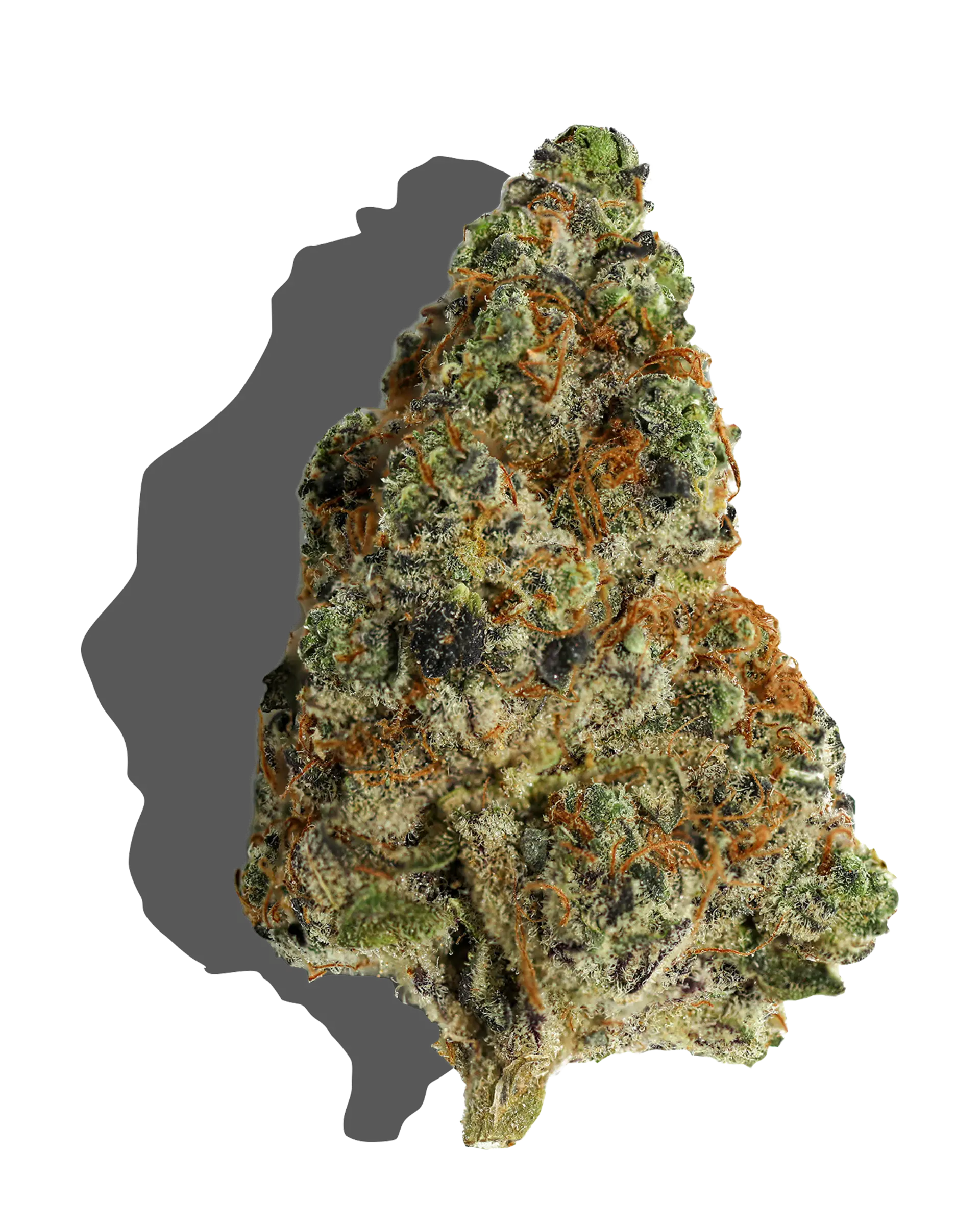 Zkippy 1oz