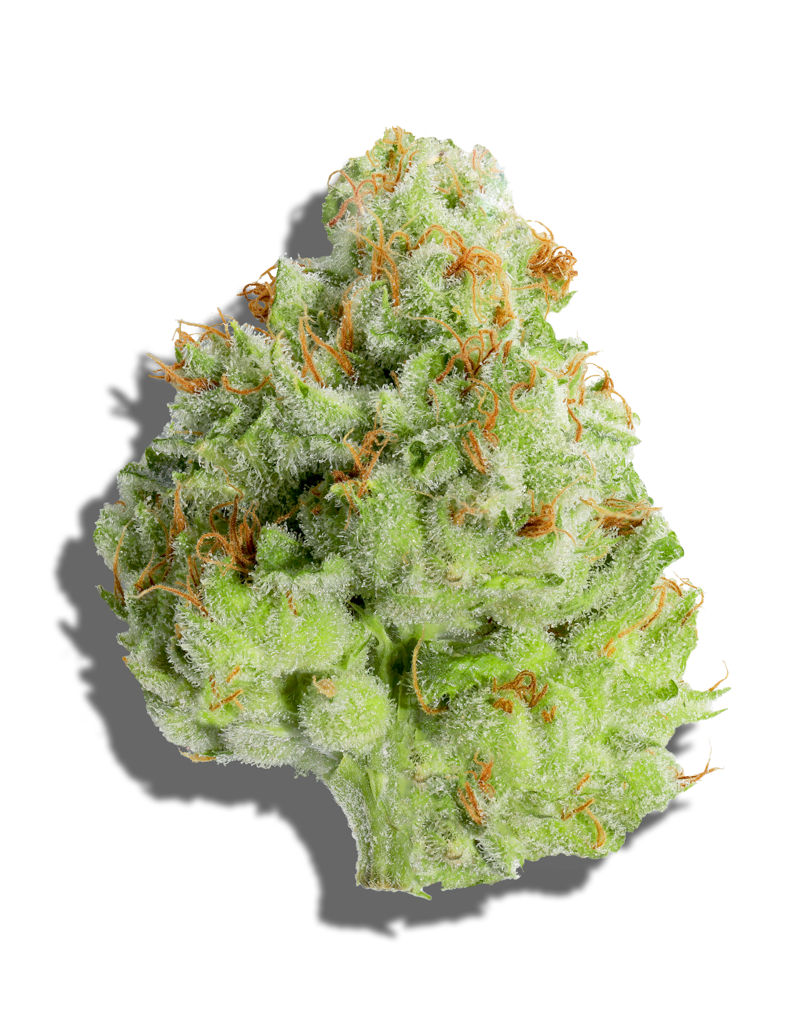 Deli - Papaya, 1 of 2
