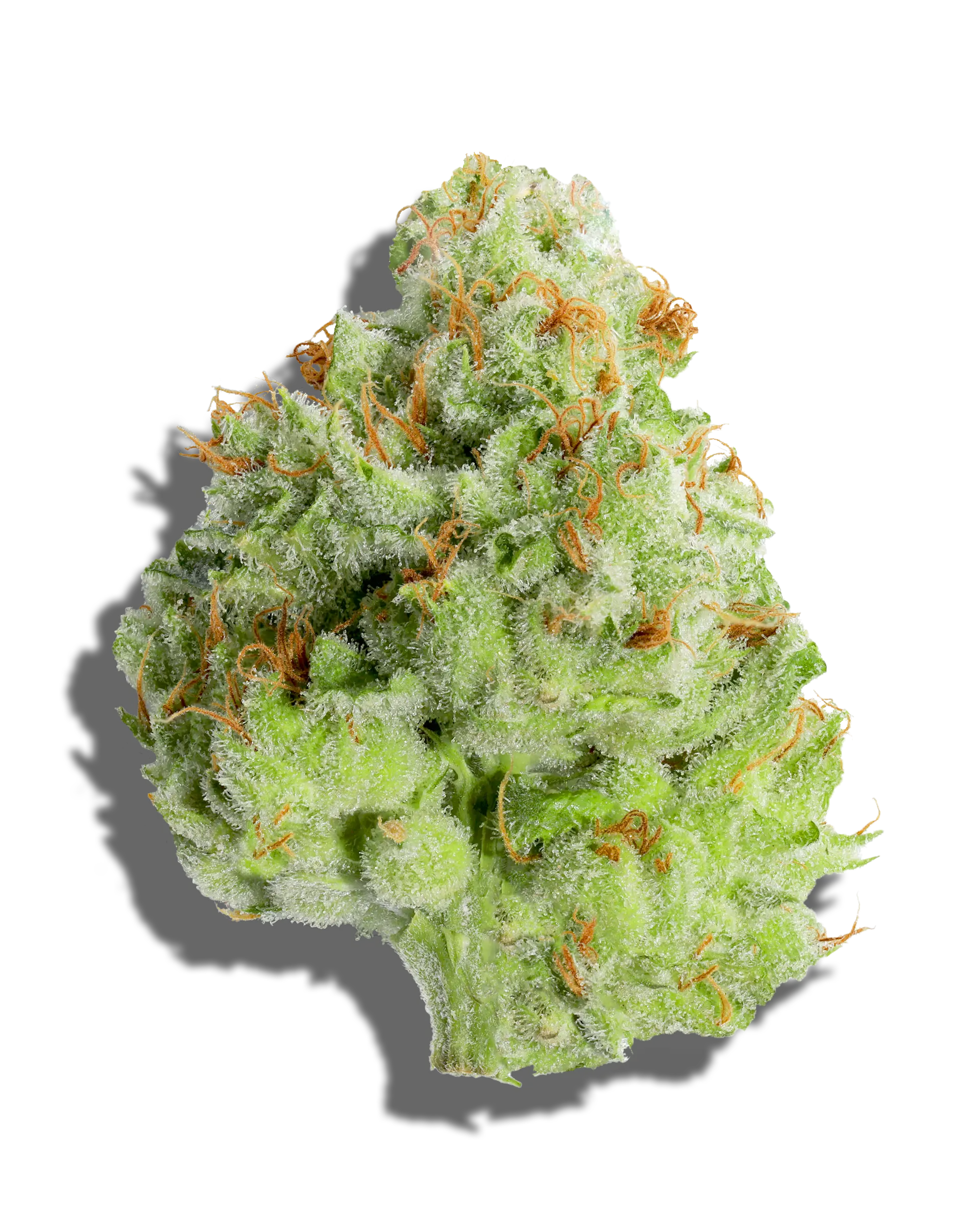 Deli - Papaya
