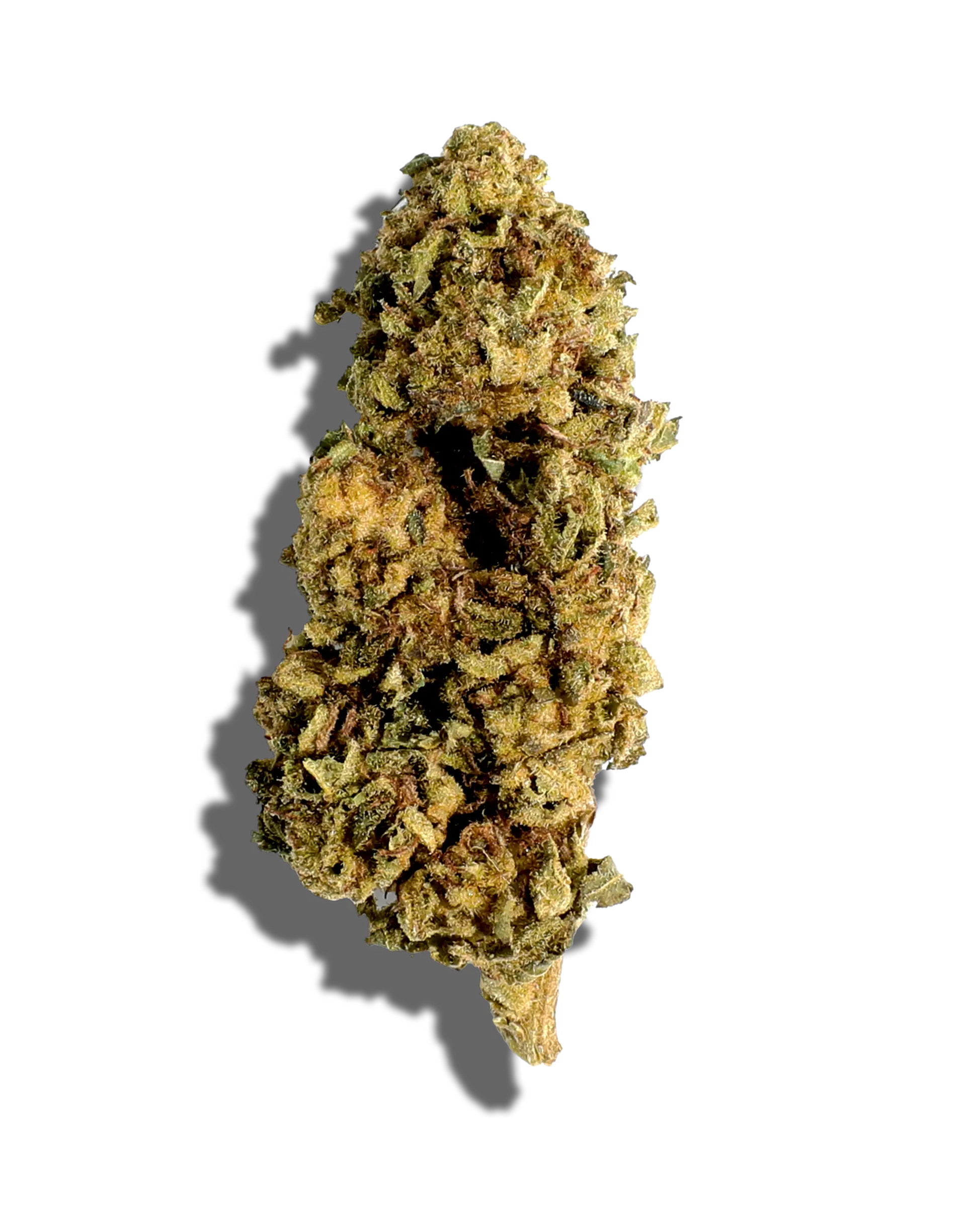 Sungrown Van Monster 3.5g