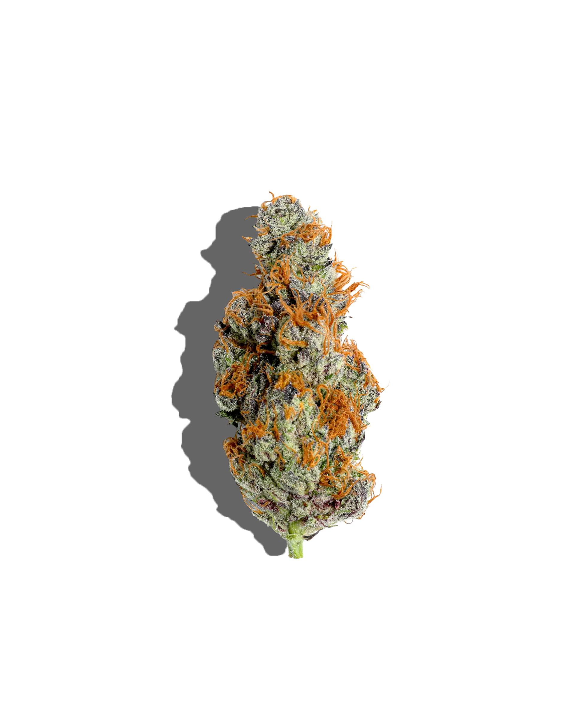 Blackberry Kush 3.5g