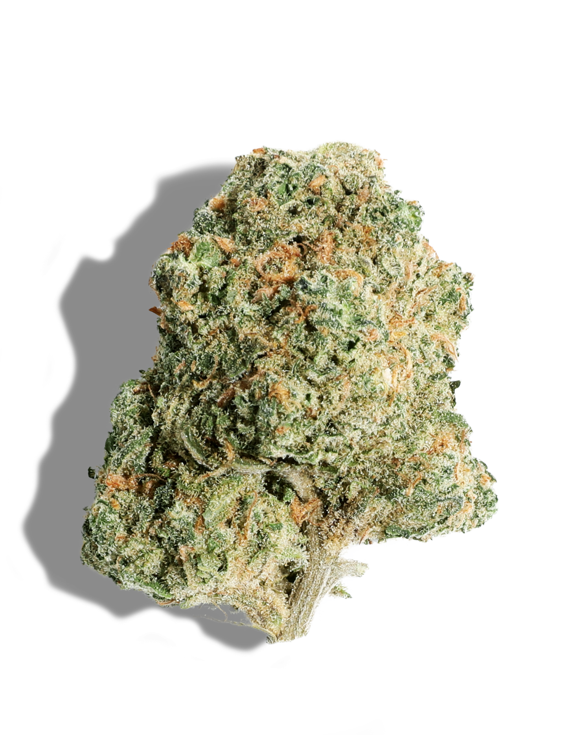 Blue Dream Flower