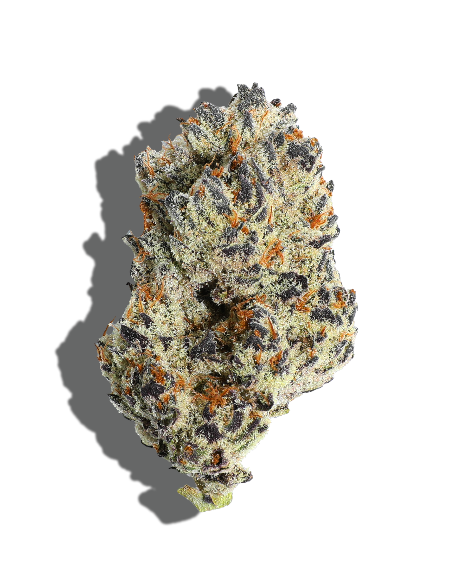 Cookies and Dream Flower