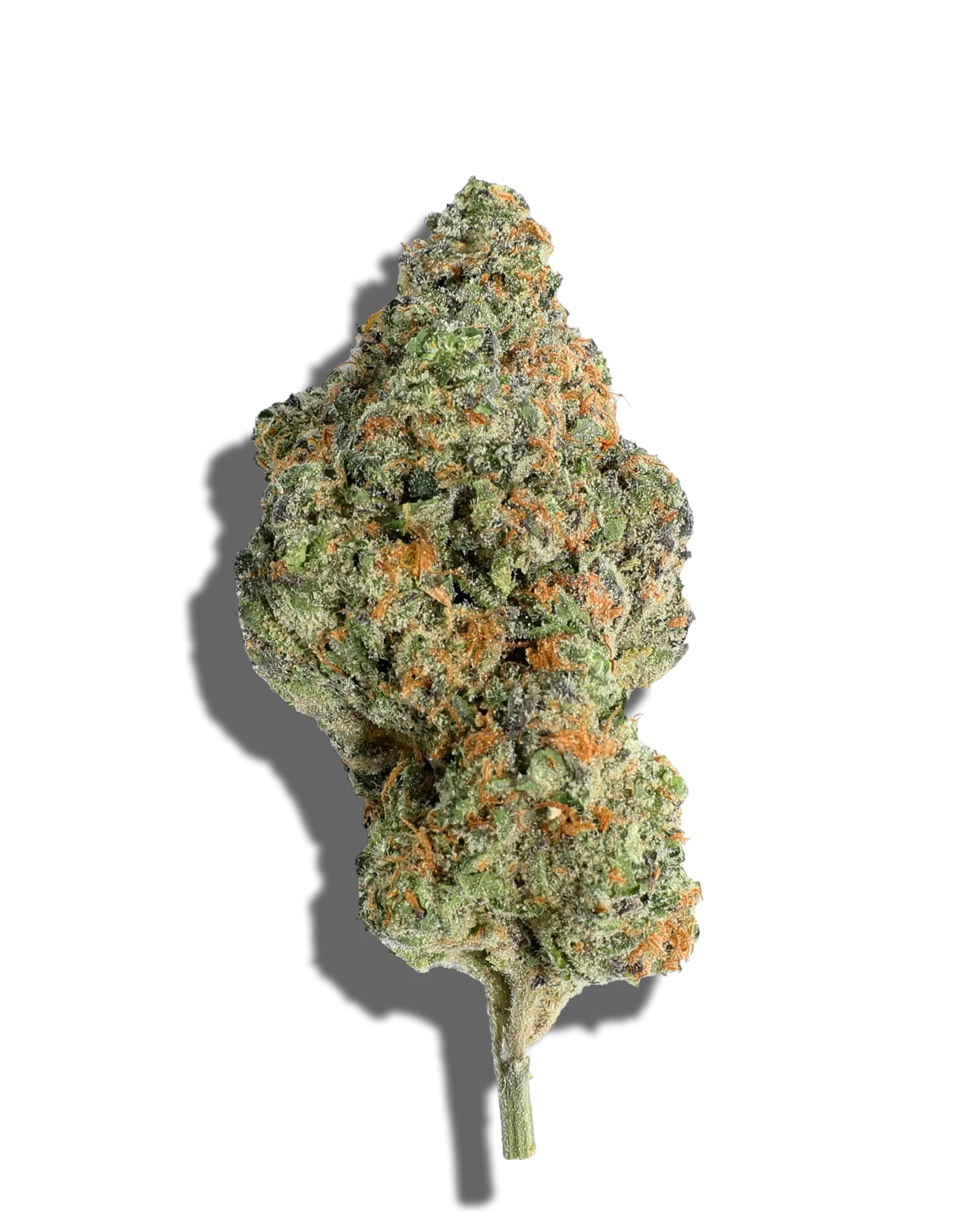 Gelato 1oz