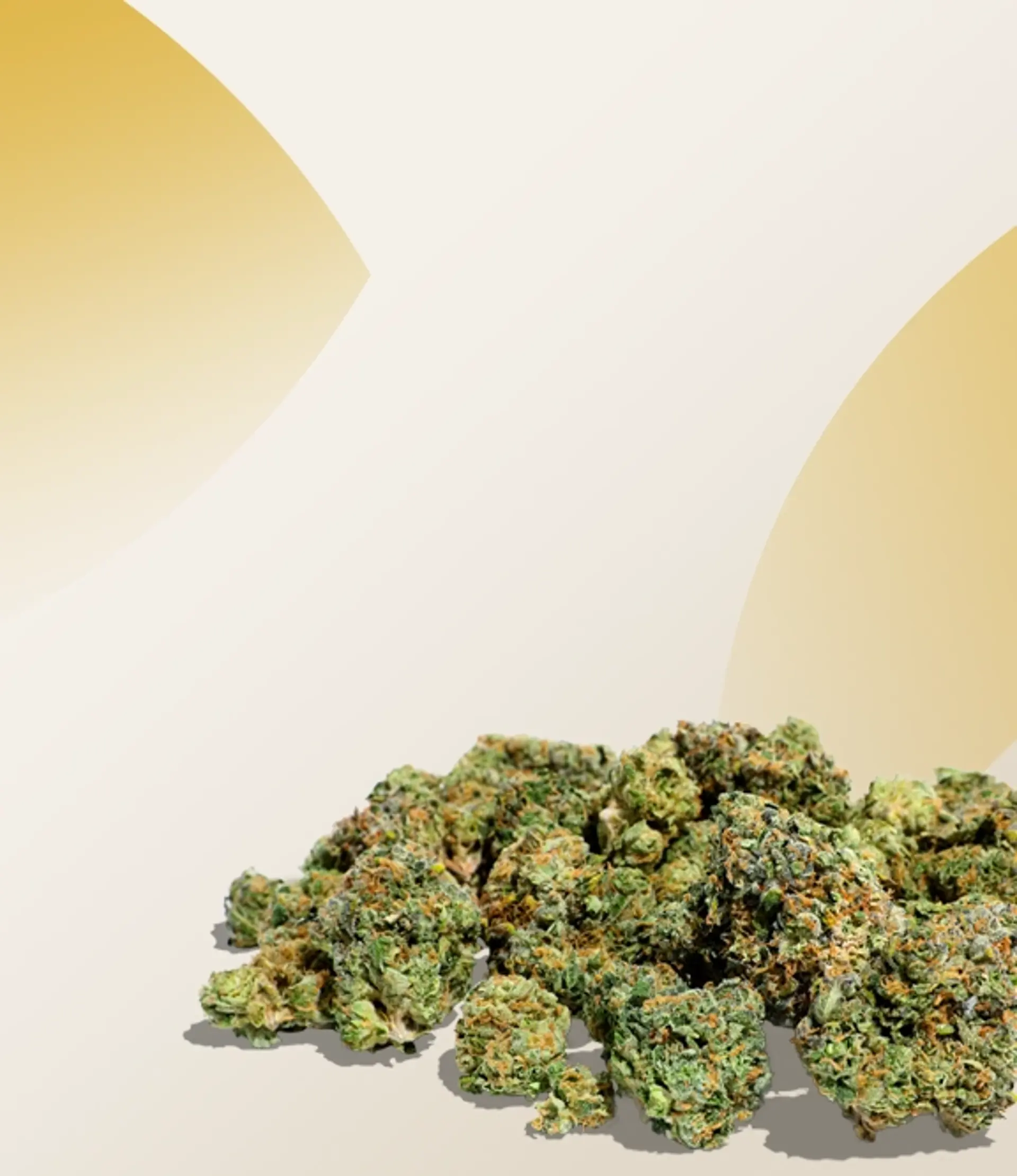 Up To 50% Off Flower