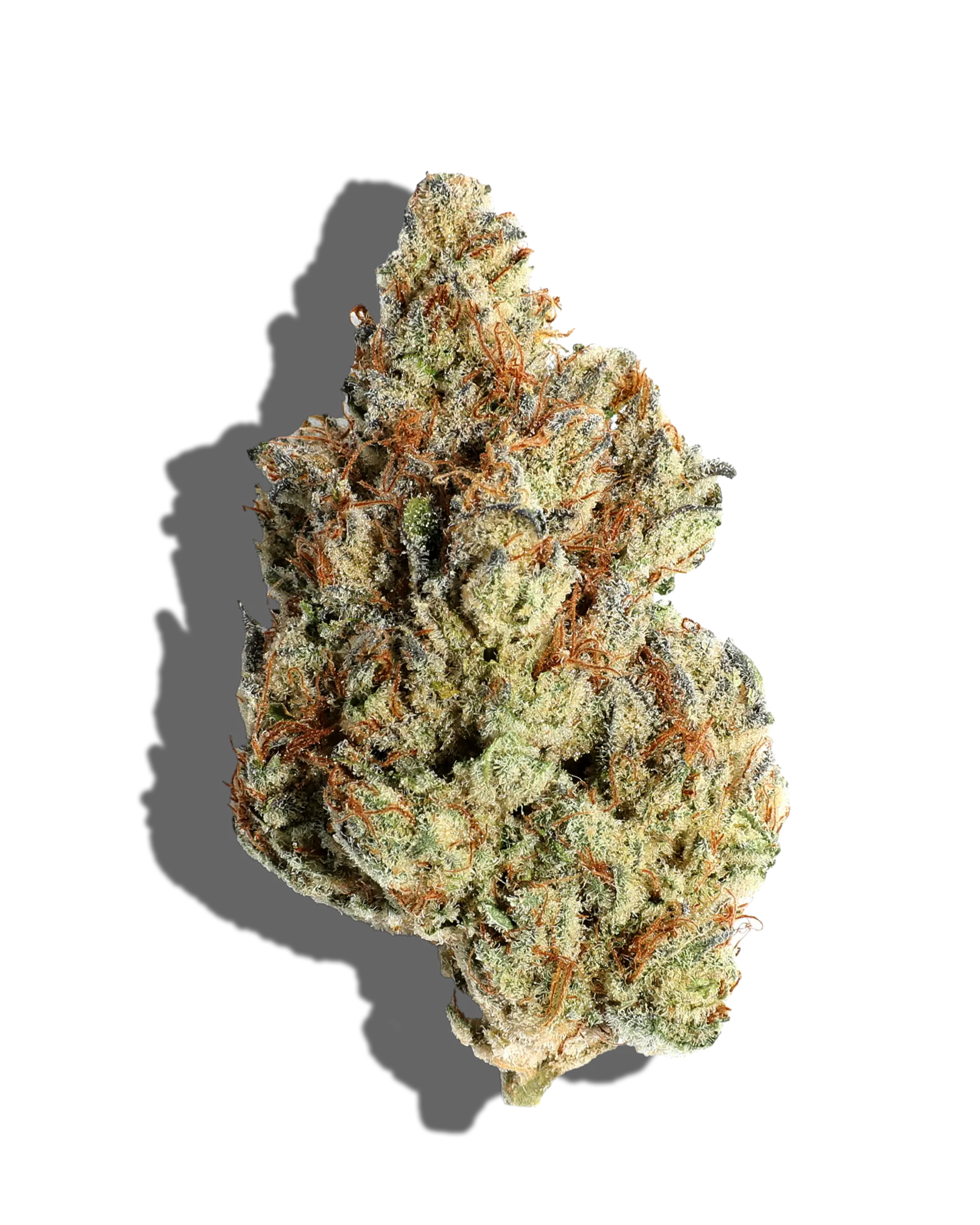 Tropicanna Banana 3.5g