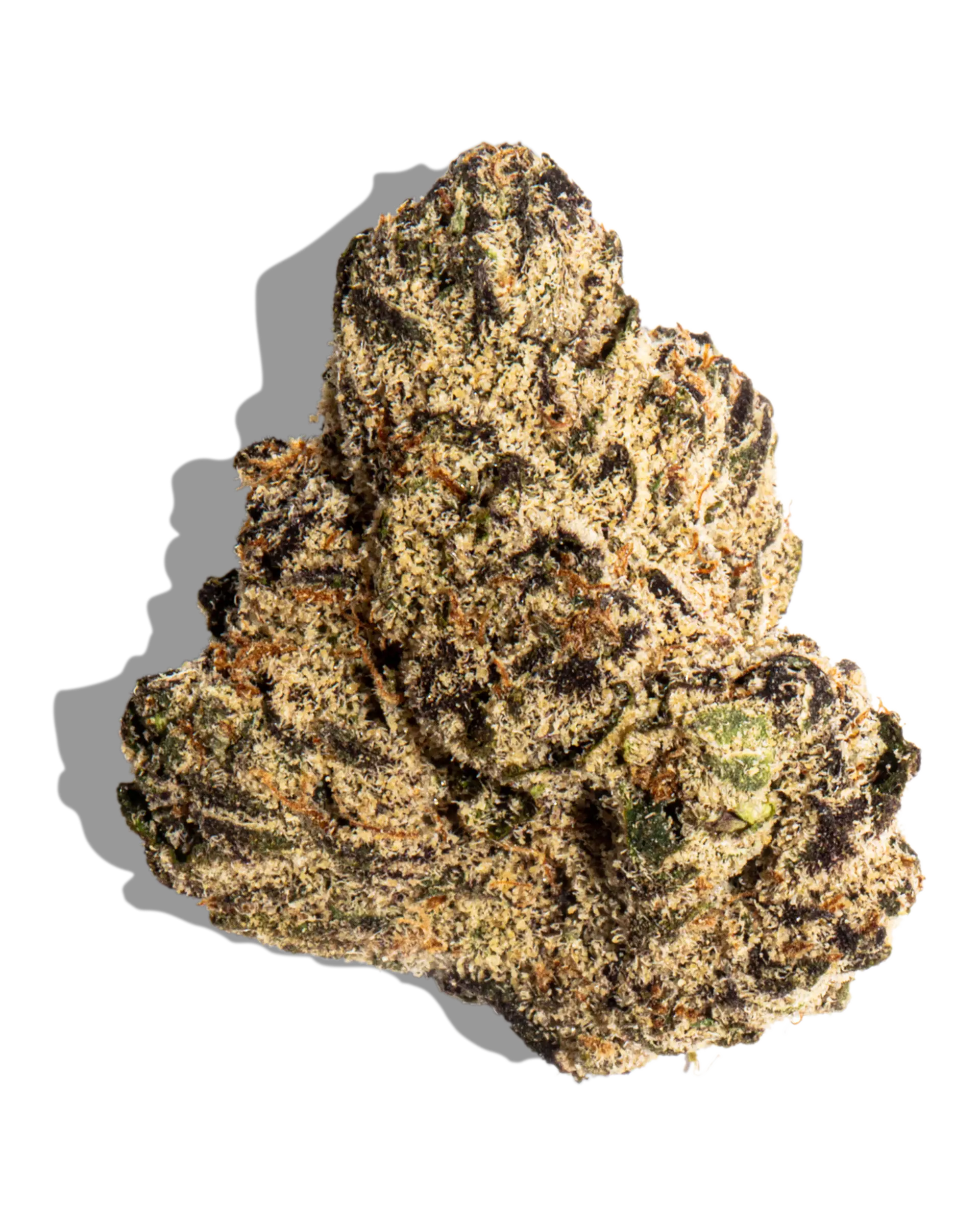 Gelato 33 7g