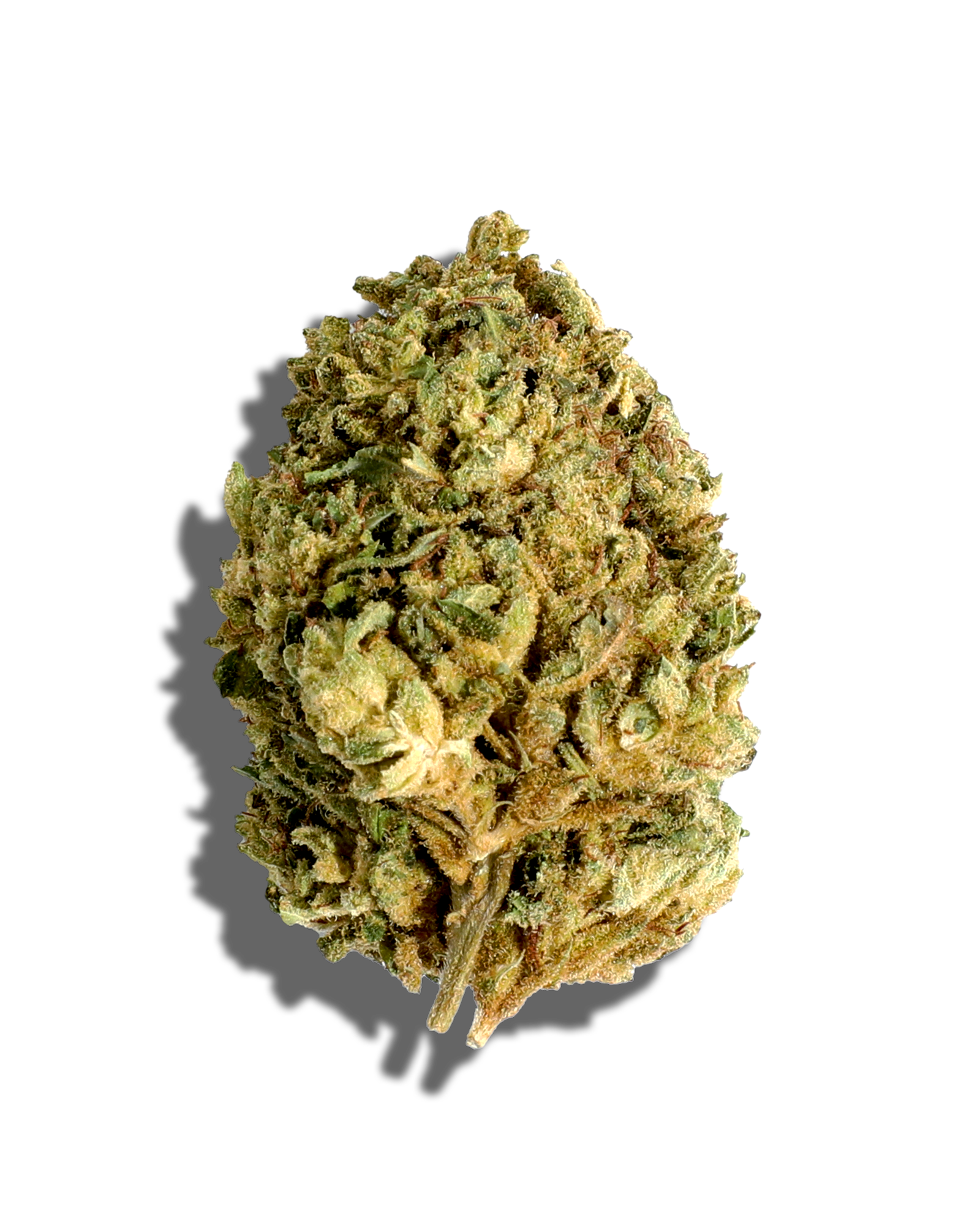 Sungrown Grasshopper Glue 1oz, 1 of 3