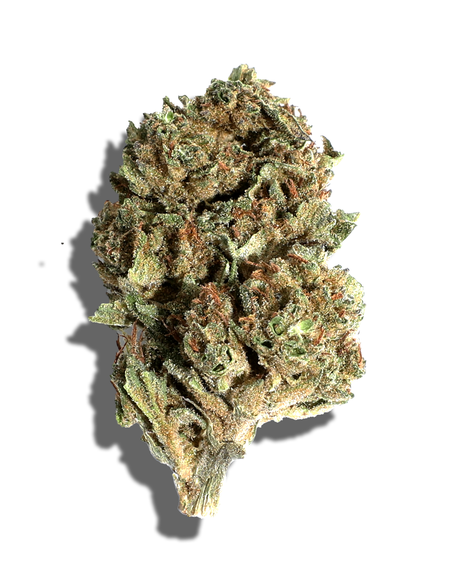 Sungrown Bolo Runtz X Gmo Nerds 3.5g, 1 of 3