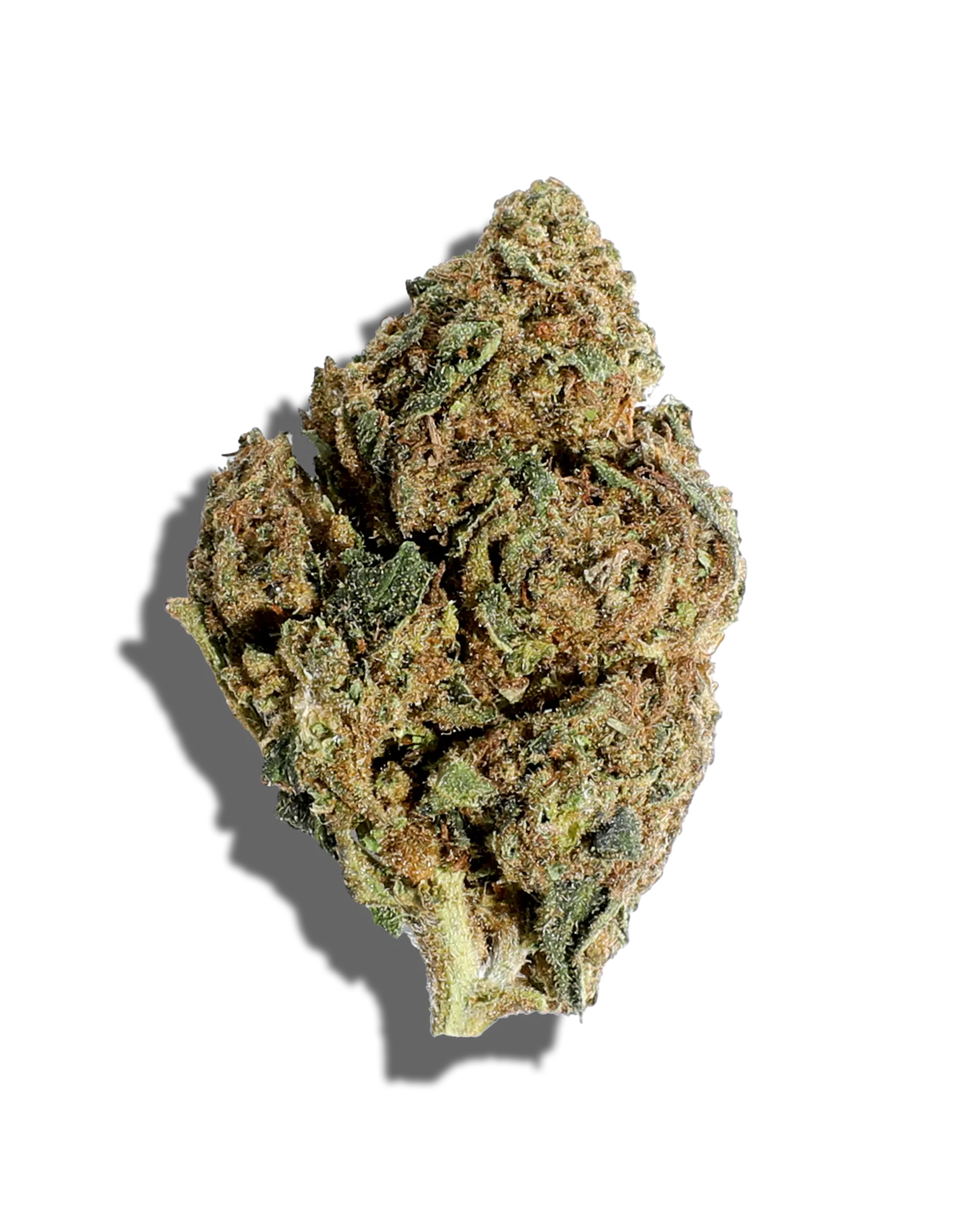 Sungrown Bermuda Triangle 3.5g