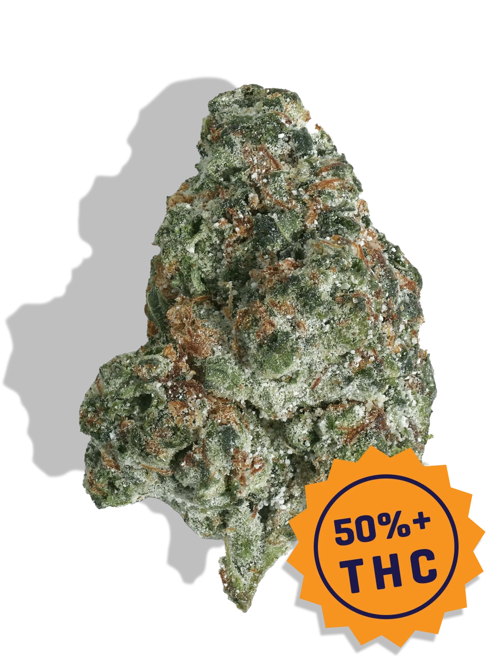 Blueberry Crumble X Pistachio Amp'd Live Resin Infused Flower 5g