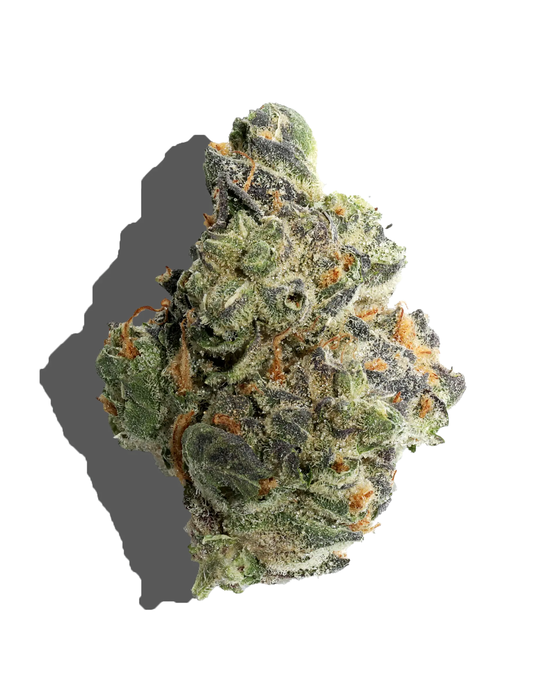 Gmo 1oz