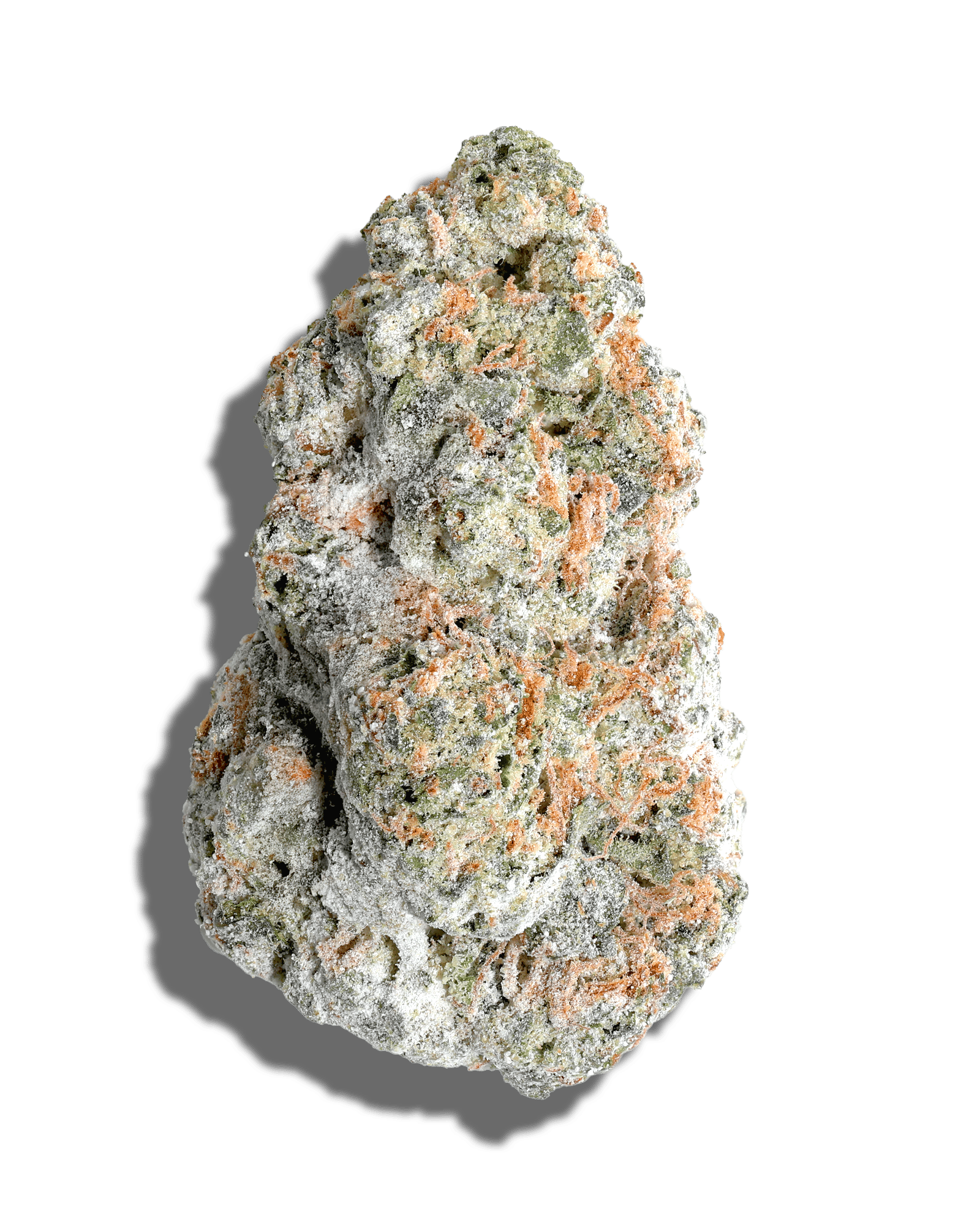 Blueberry Crumble X Biscotti Mints Amp'd Live Resin Infused Flower 5g