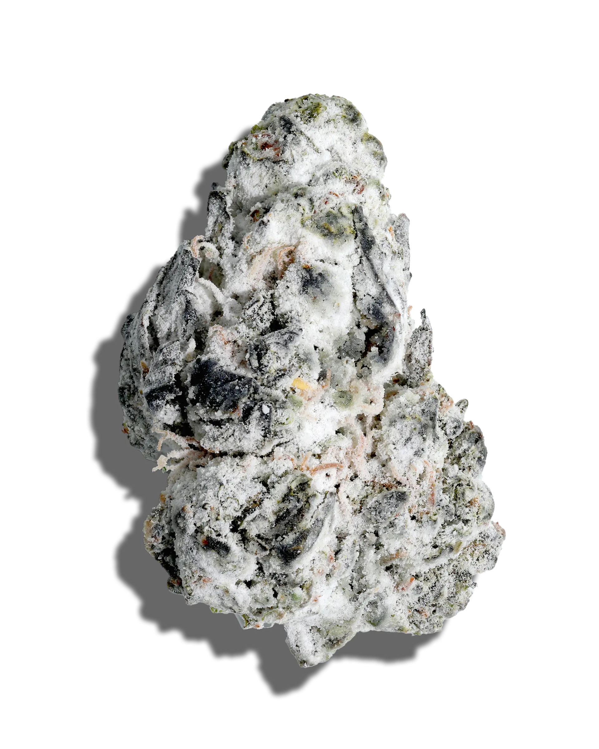 Jenny's Grape Jelly X Blueberry Bang Amp'd Live Resin Infused Flower 5g