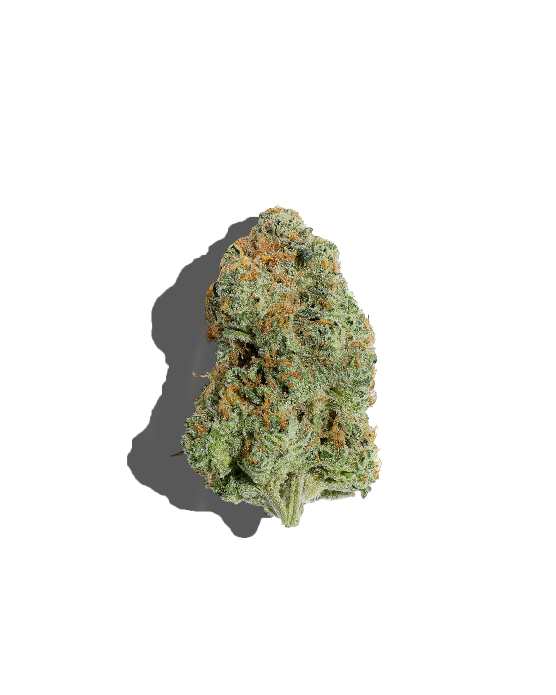 Dogwaze 3.5g