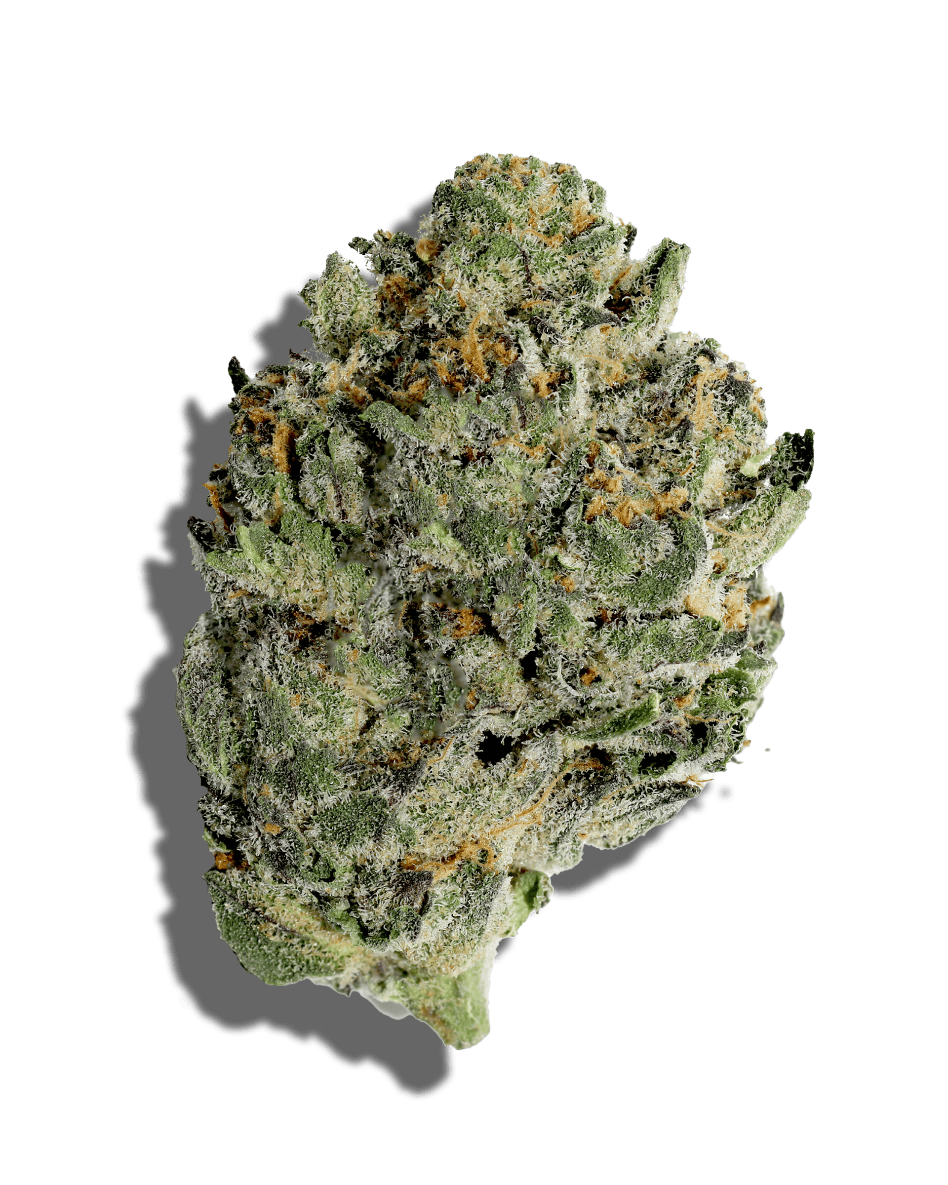 Tagalongz 3.5g