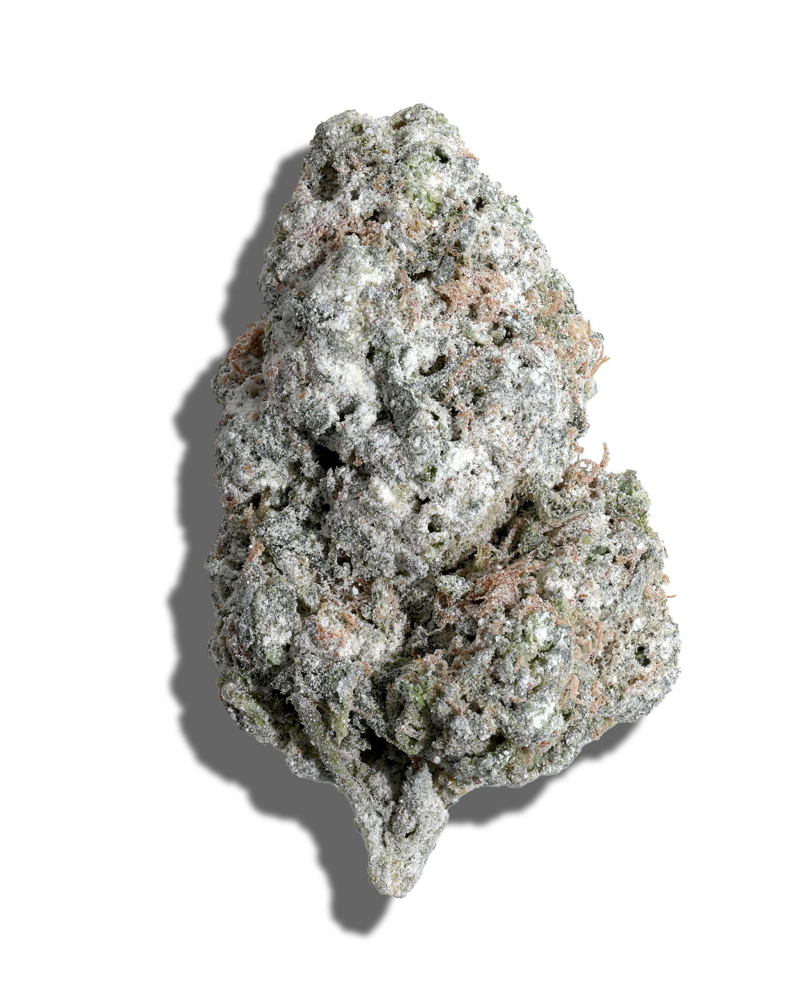 Squeezy Does It X Jack Herer Amp'd Live Resin Infused Flower 5g, 1 of 2