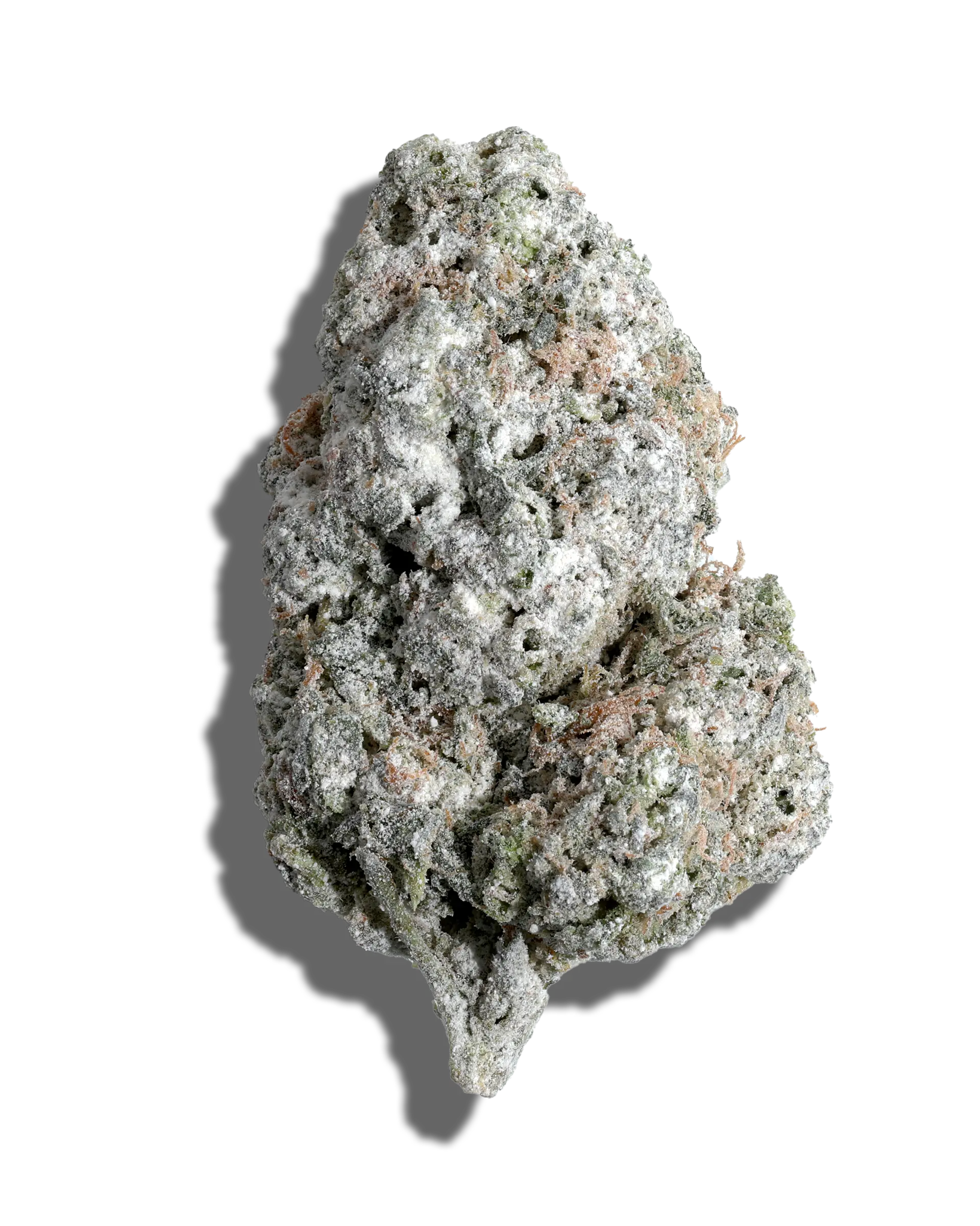 Squeezy Does It X Jack Herer Amp'd Live Resin Infused Flower 5g