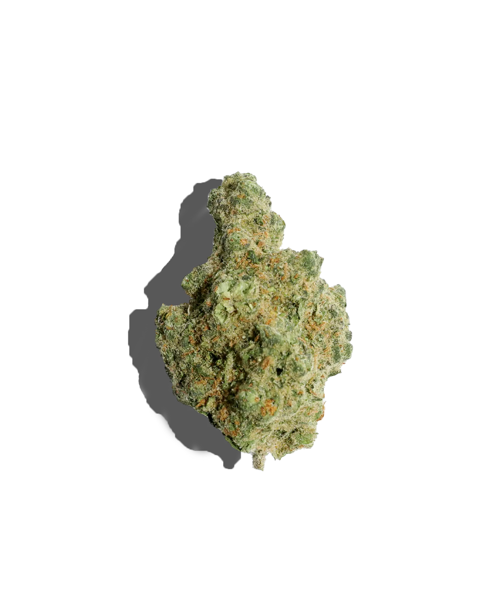 Orange Creamsicle Flower