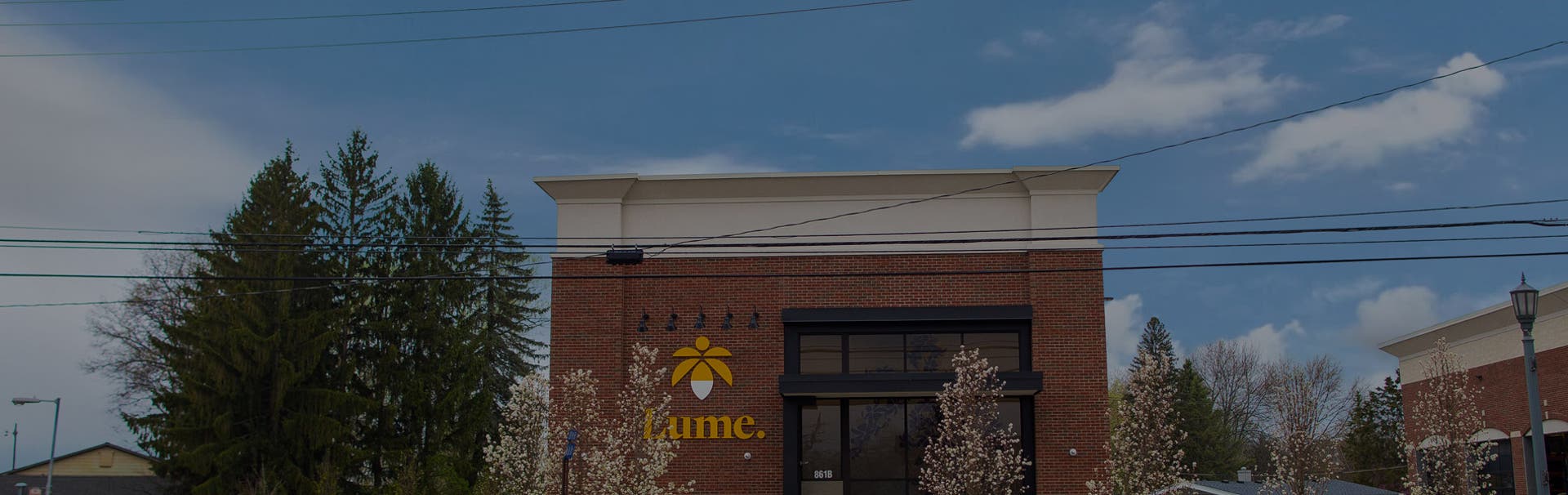 walled lake mi dispensary