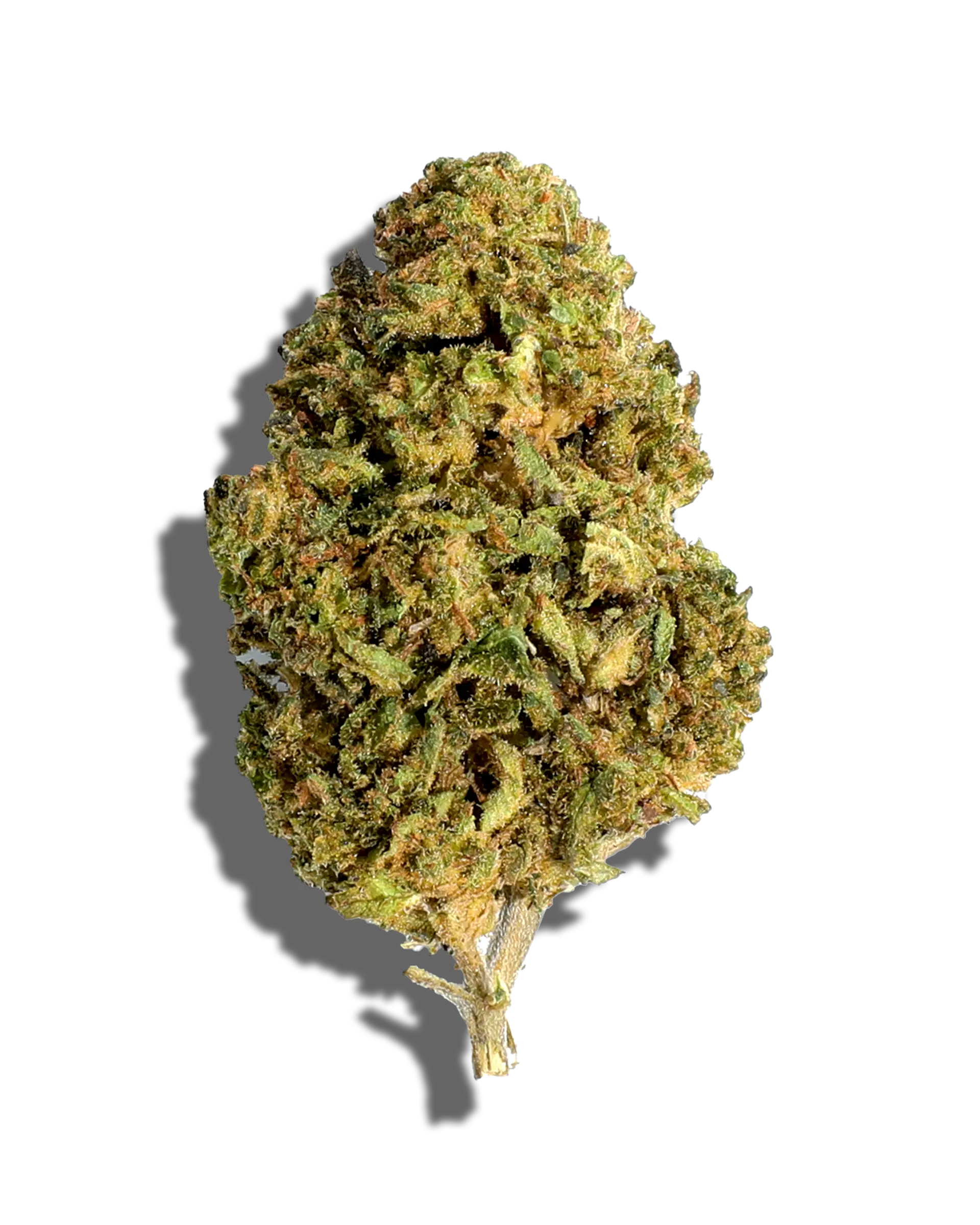 Sungrown Apple Fritter 3.5g