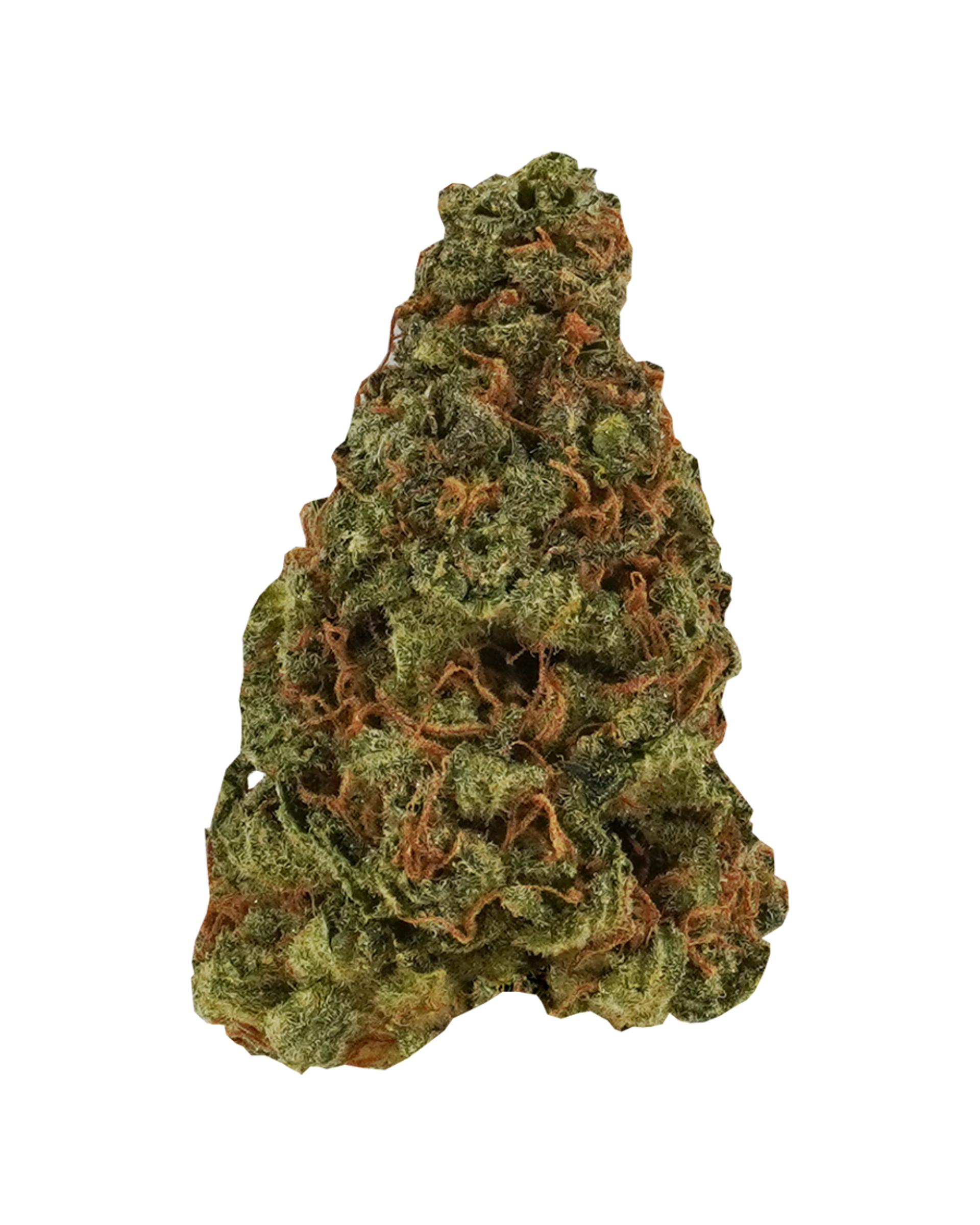 Early Lemon Flower