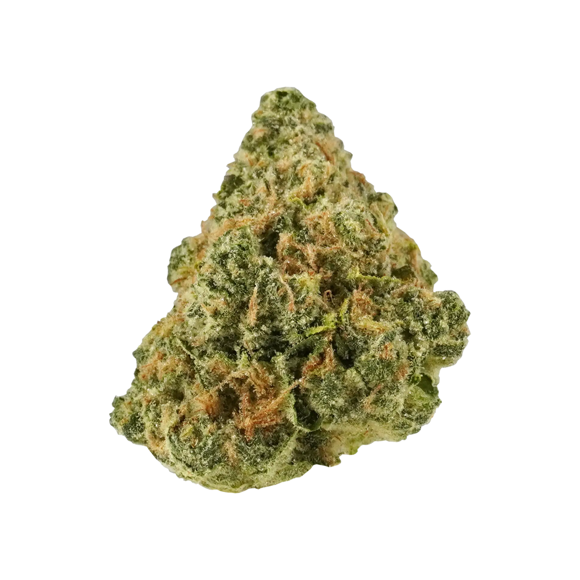 Indiana Bubble Gum Flower