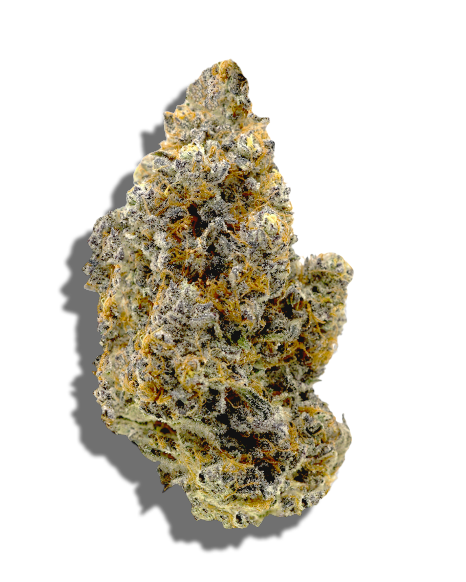 Deli - Boofscotti, 1 of 2