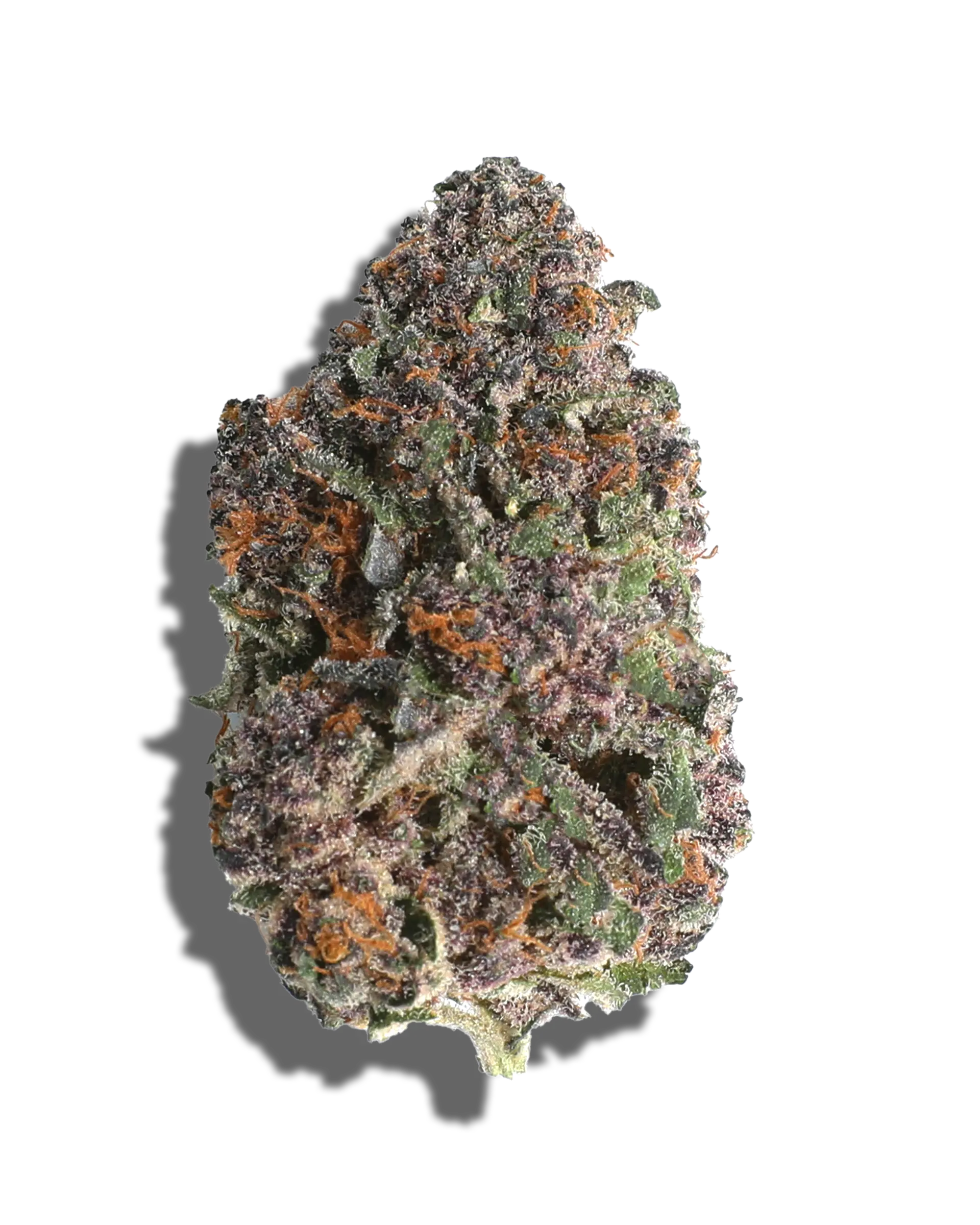 Gary Payton X Jealousy 1oz