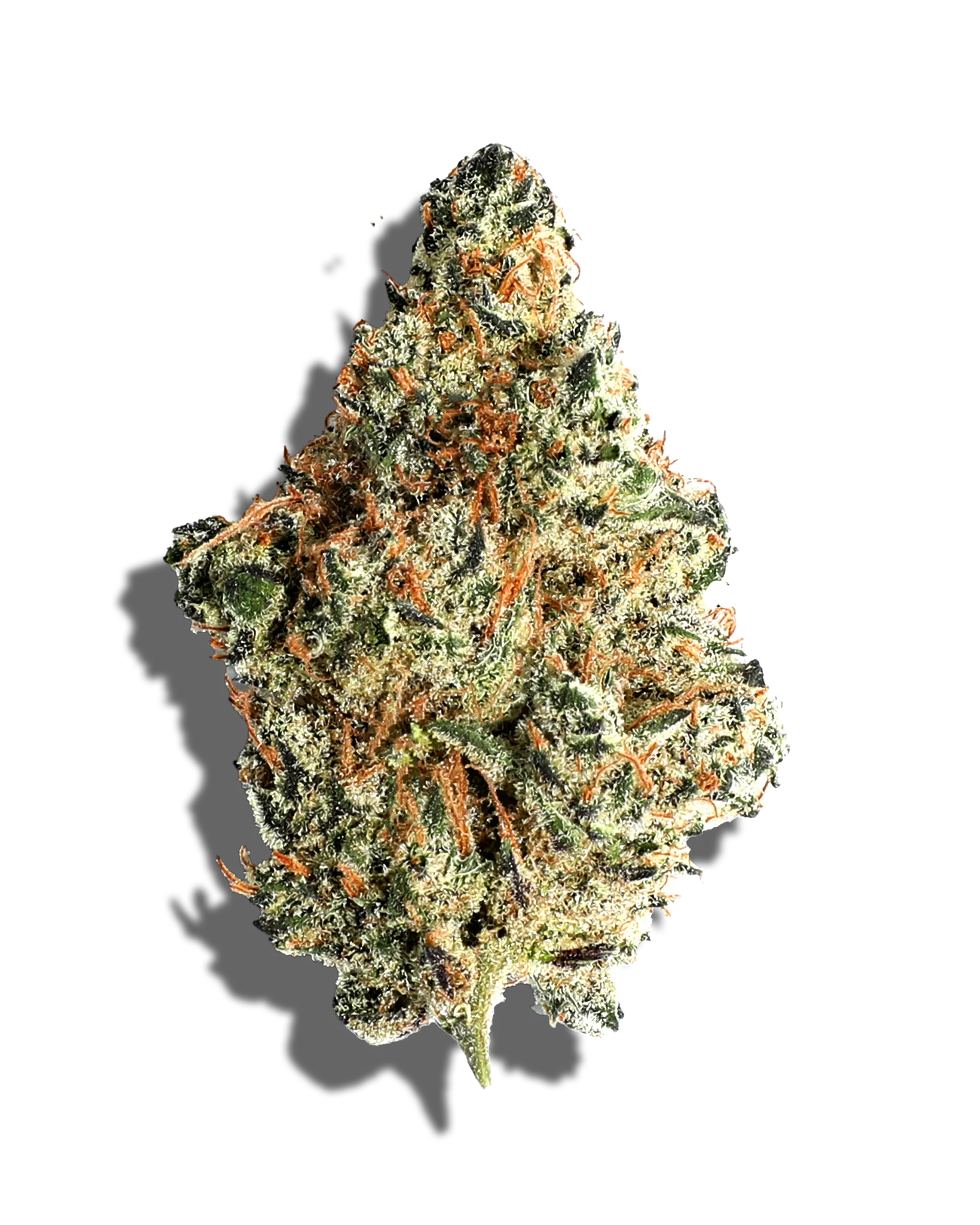Burger Kush 3.5g