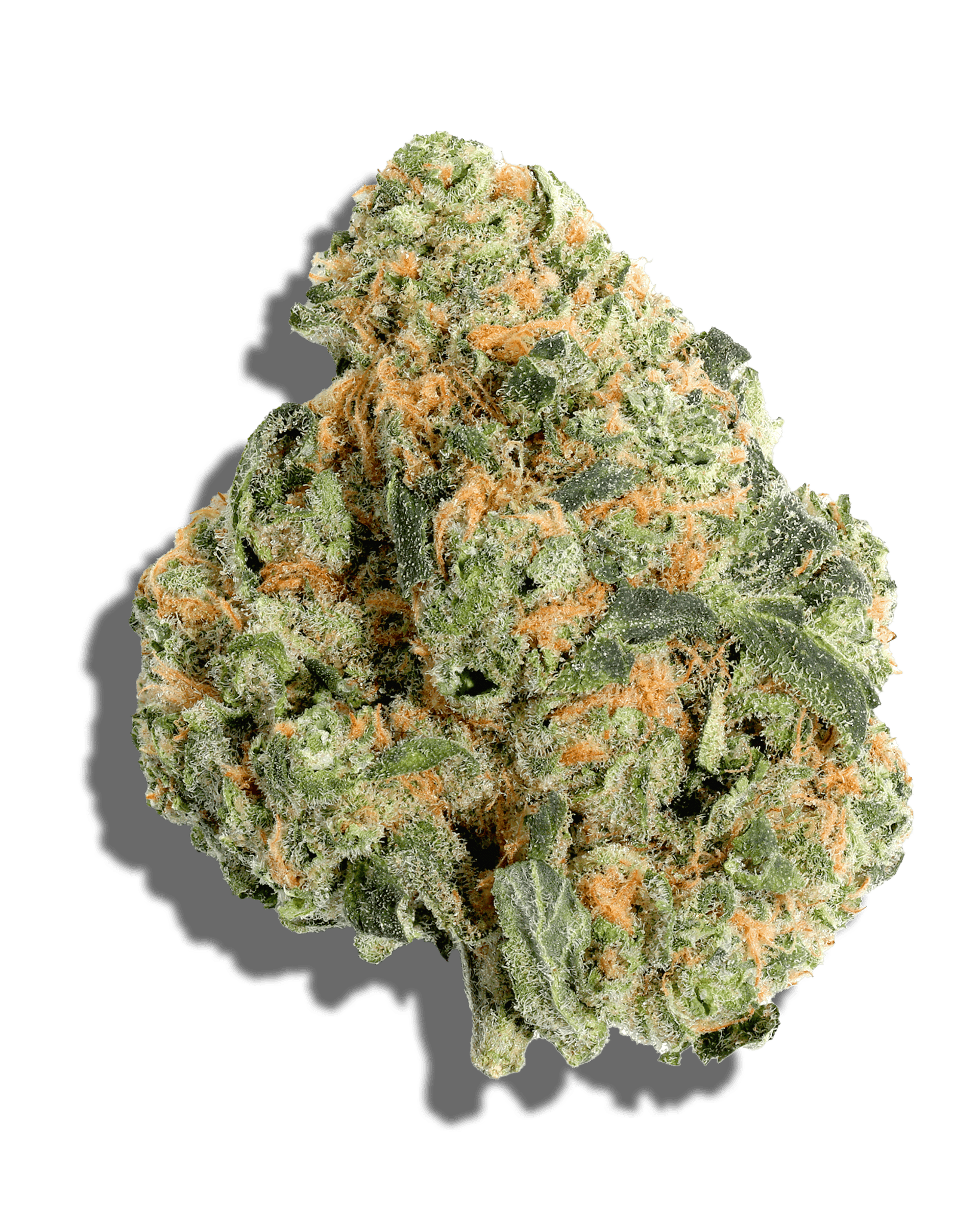 Maui True Blood 3.5g