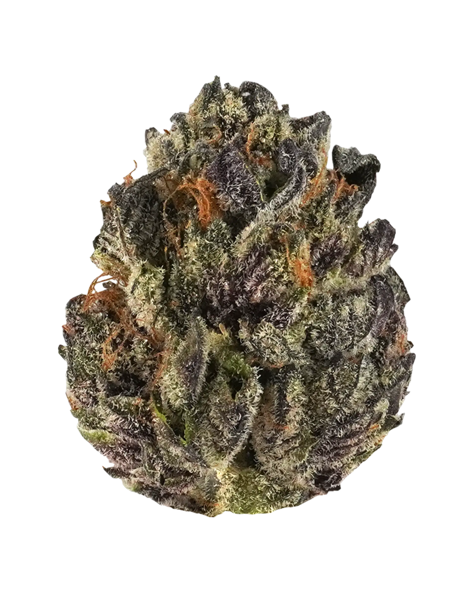 Tropicana Cookies 3.5g