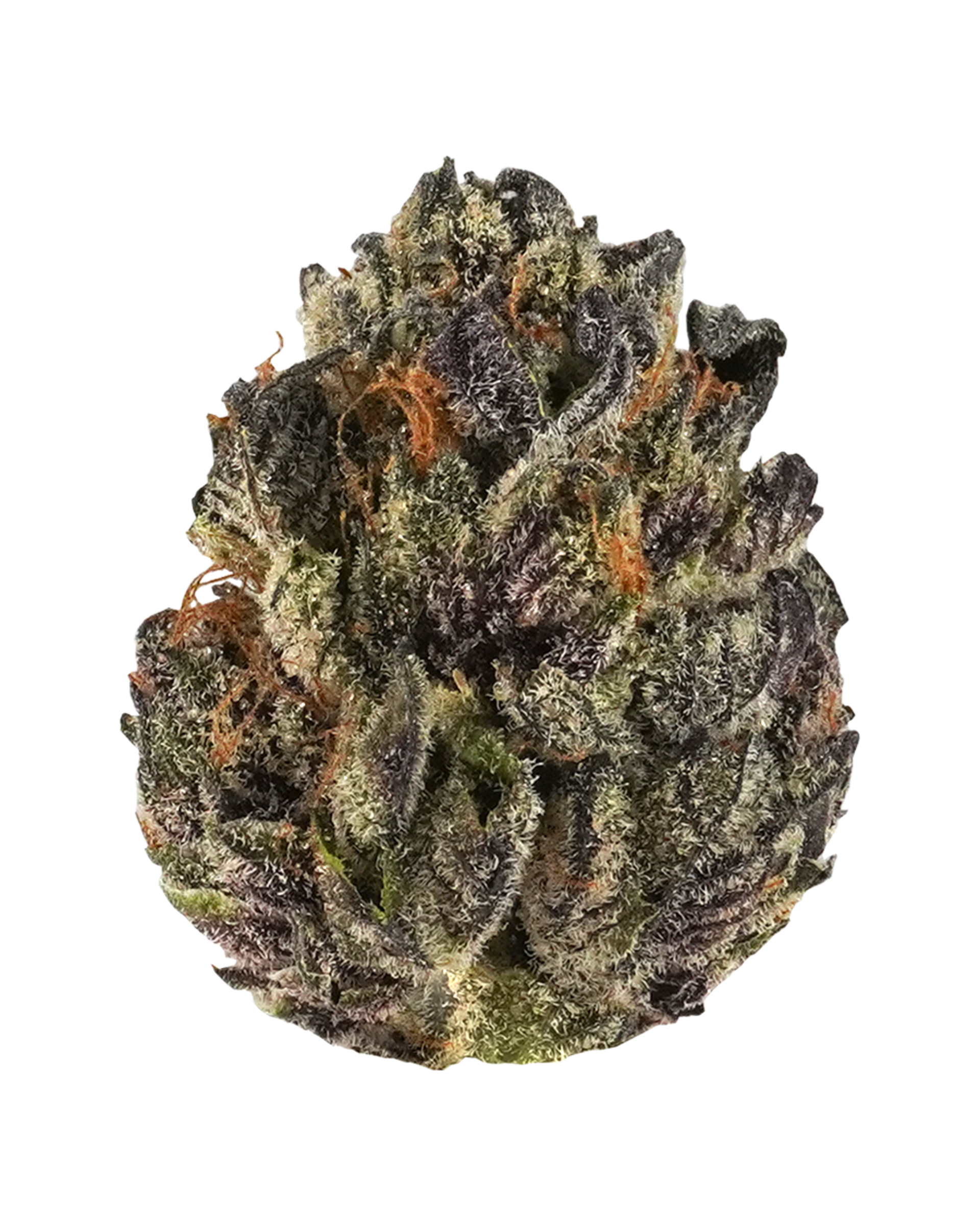Tropicana Cookies Flower