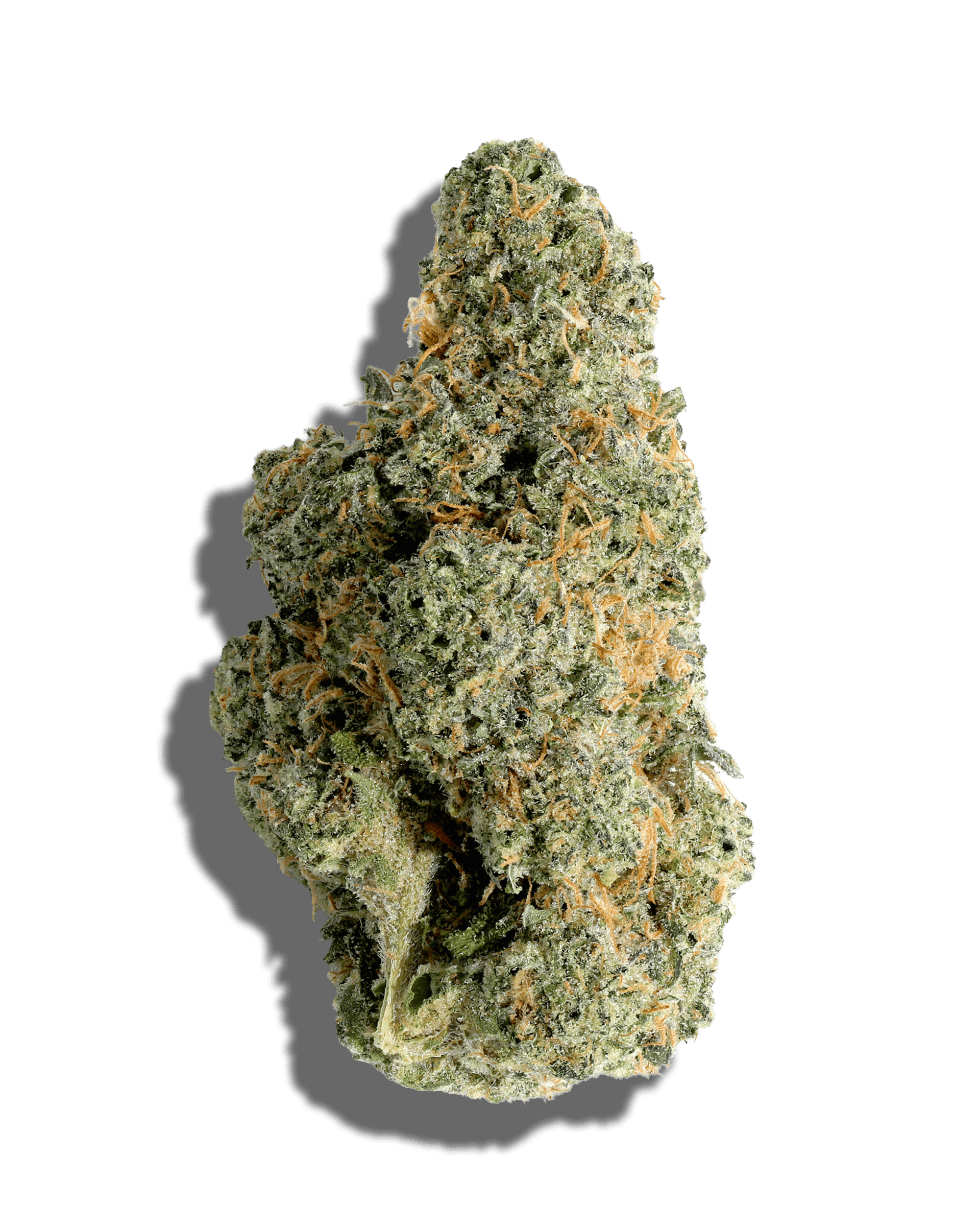 Black Maple 1oz
