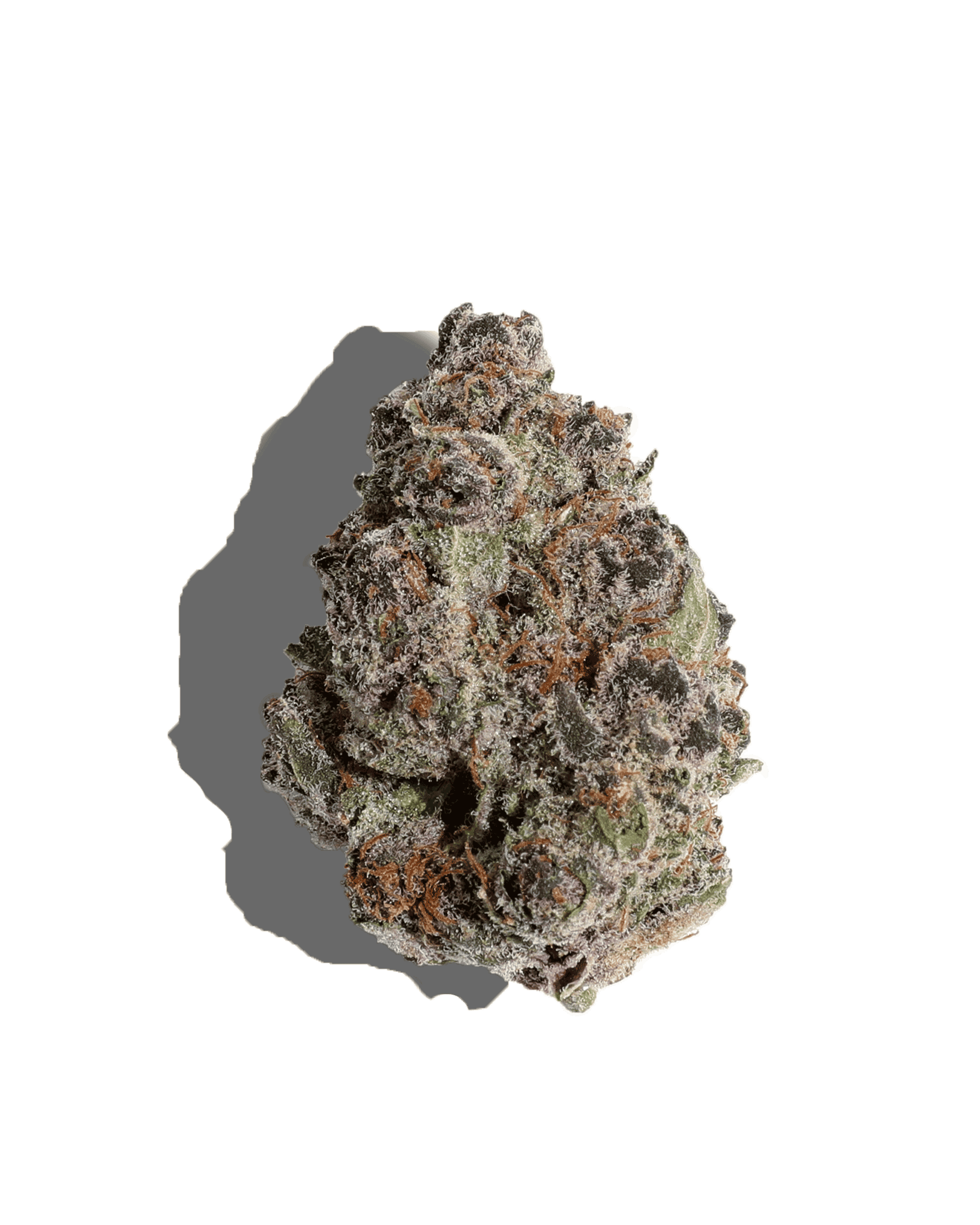 Trop Cherry Flower