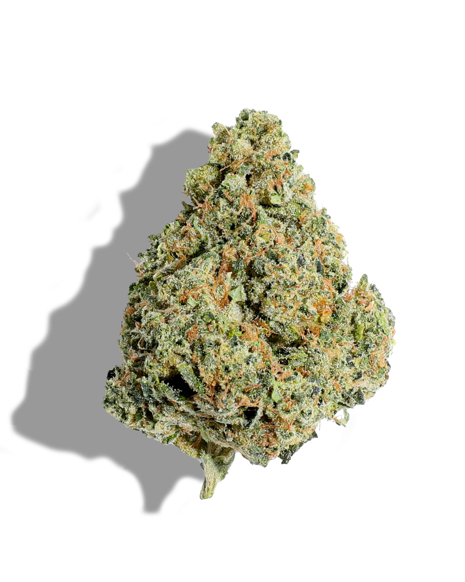 Gator Breath Flower