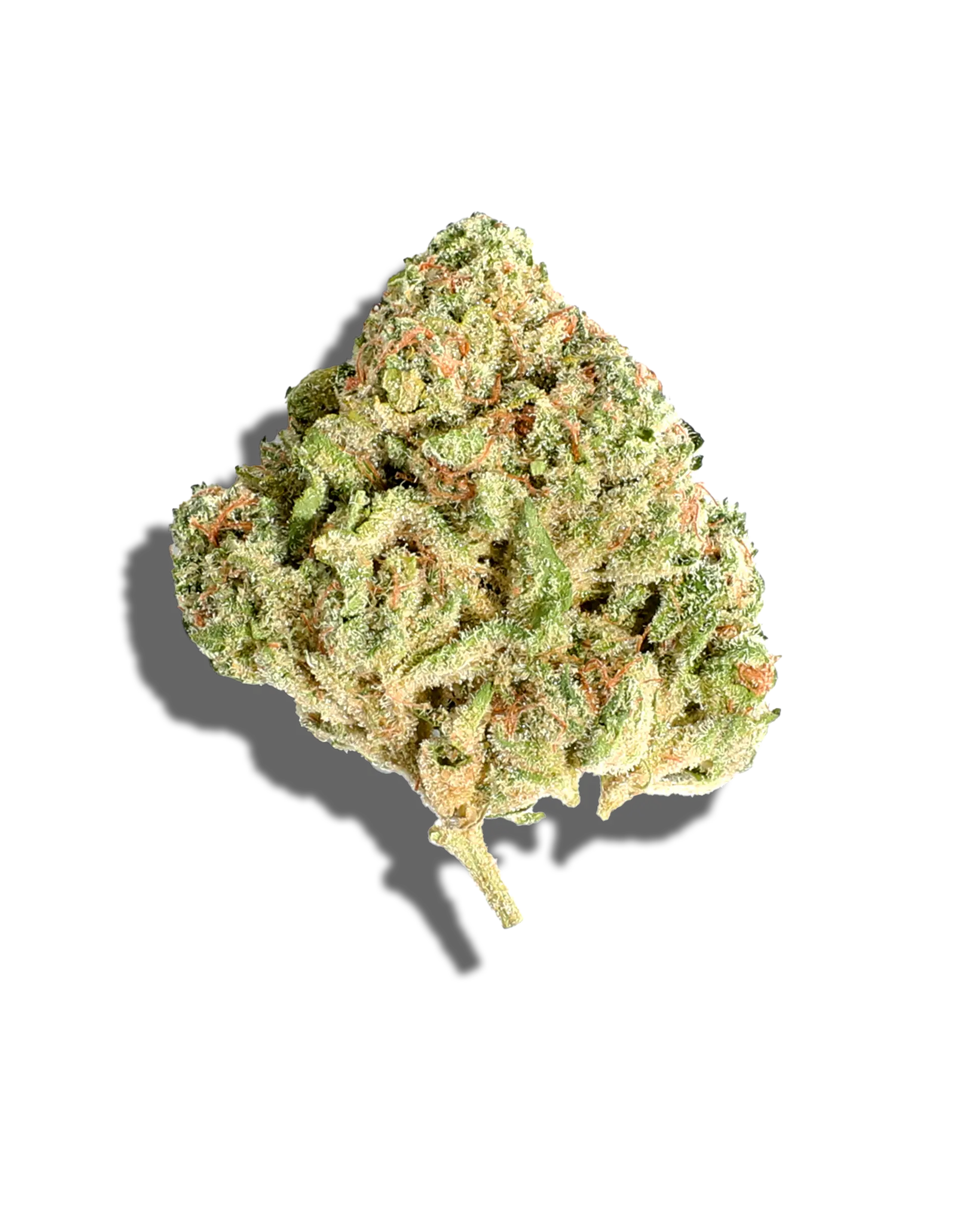 818 X Kosher Kitty 1oz