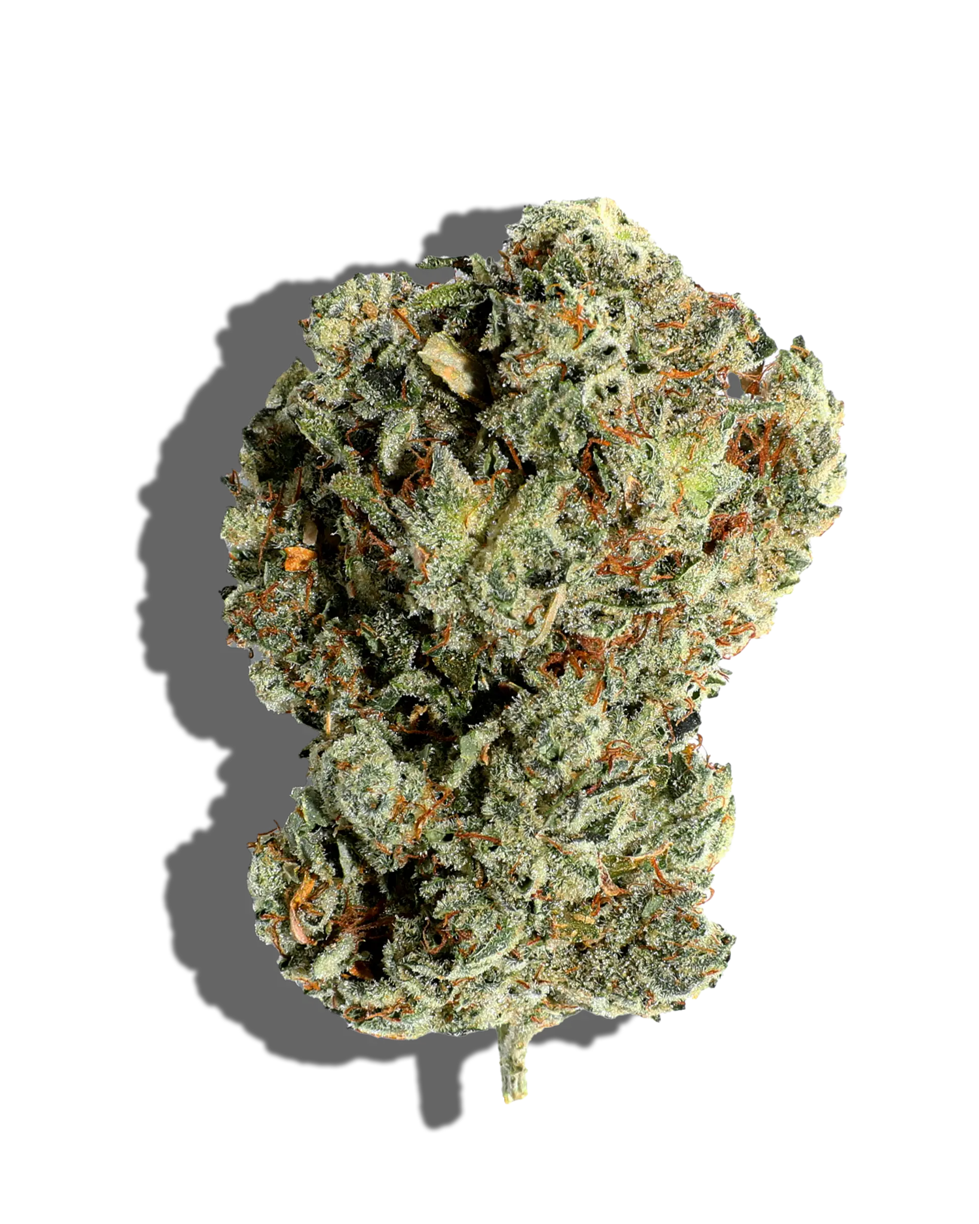 Original Glue 3.5g